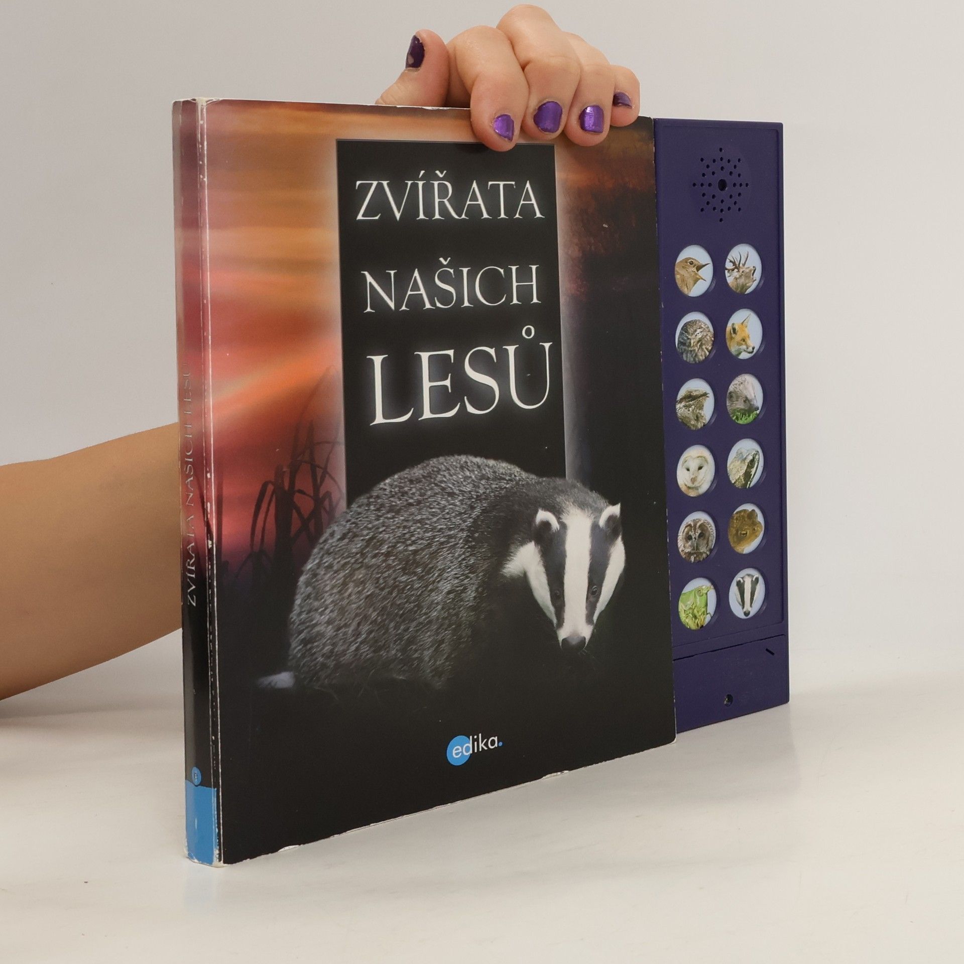Andrea Pinnington Zvířata našich lesů
