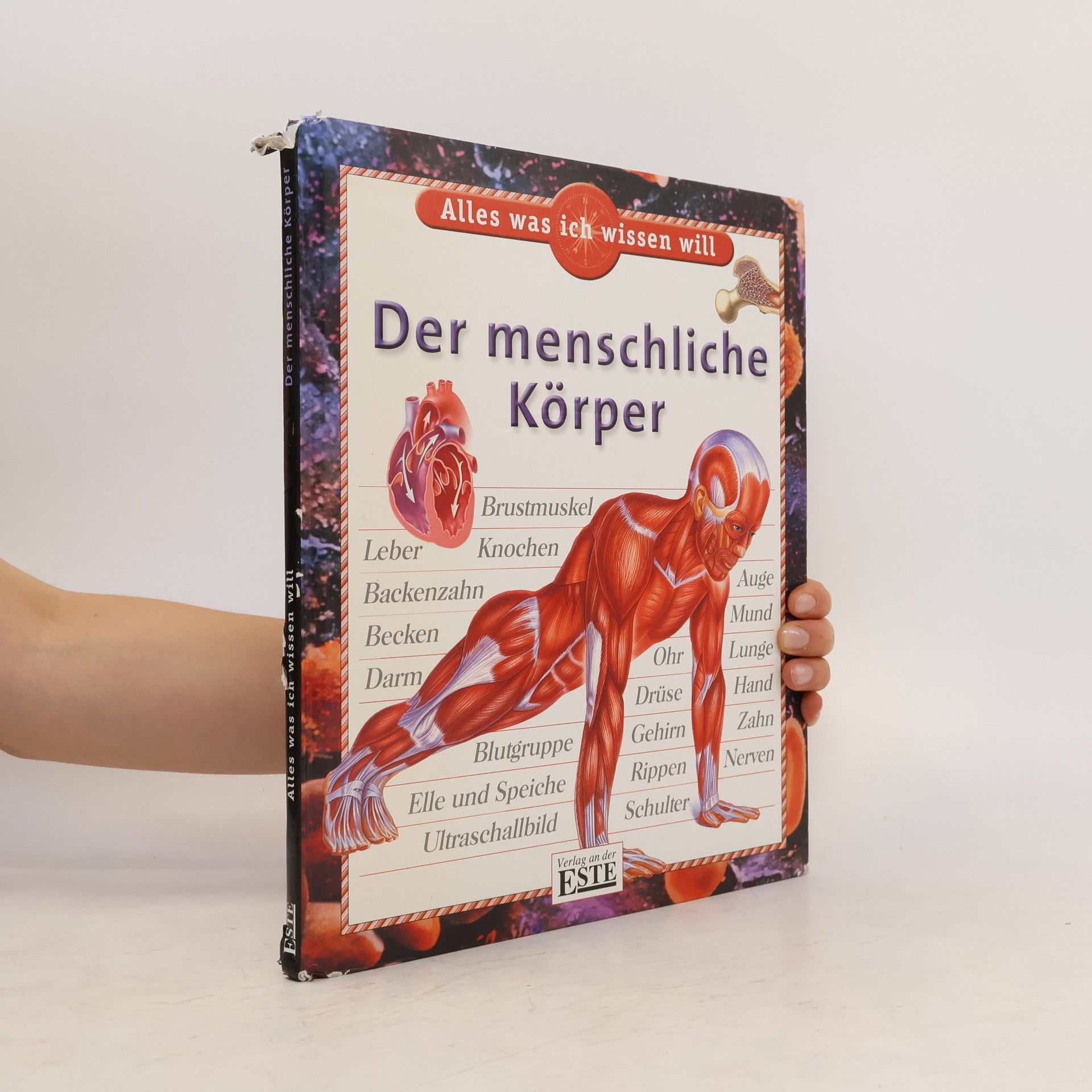 Collectif d'auteurs Der menschliche Körper