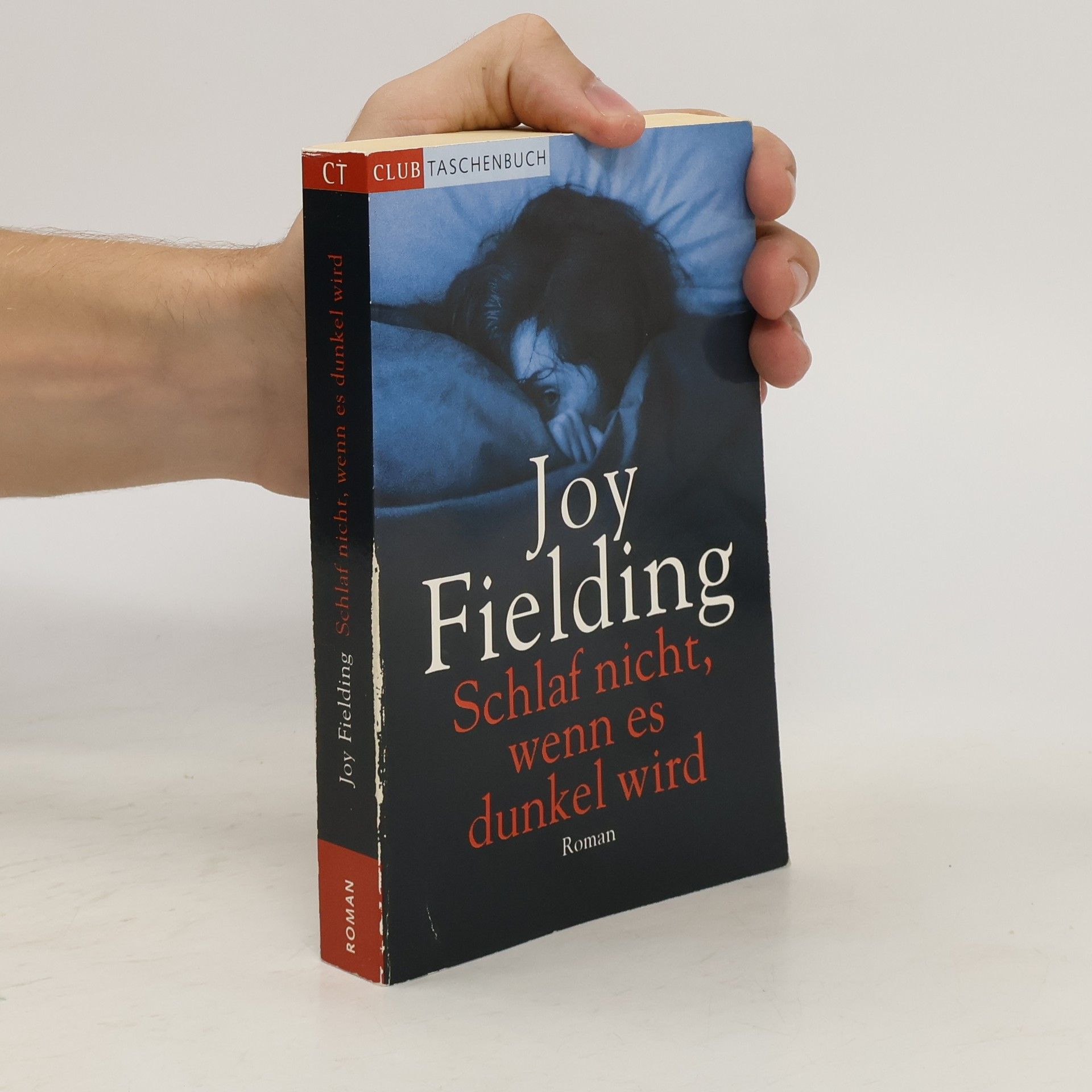 Joy Fielding Schlaf nicht, wenn es dunkel wird