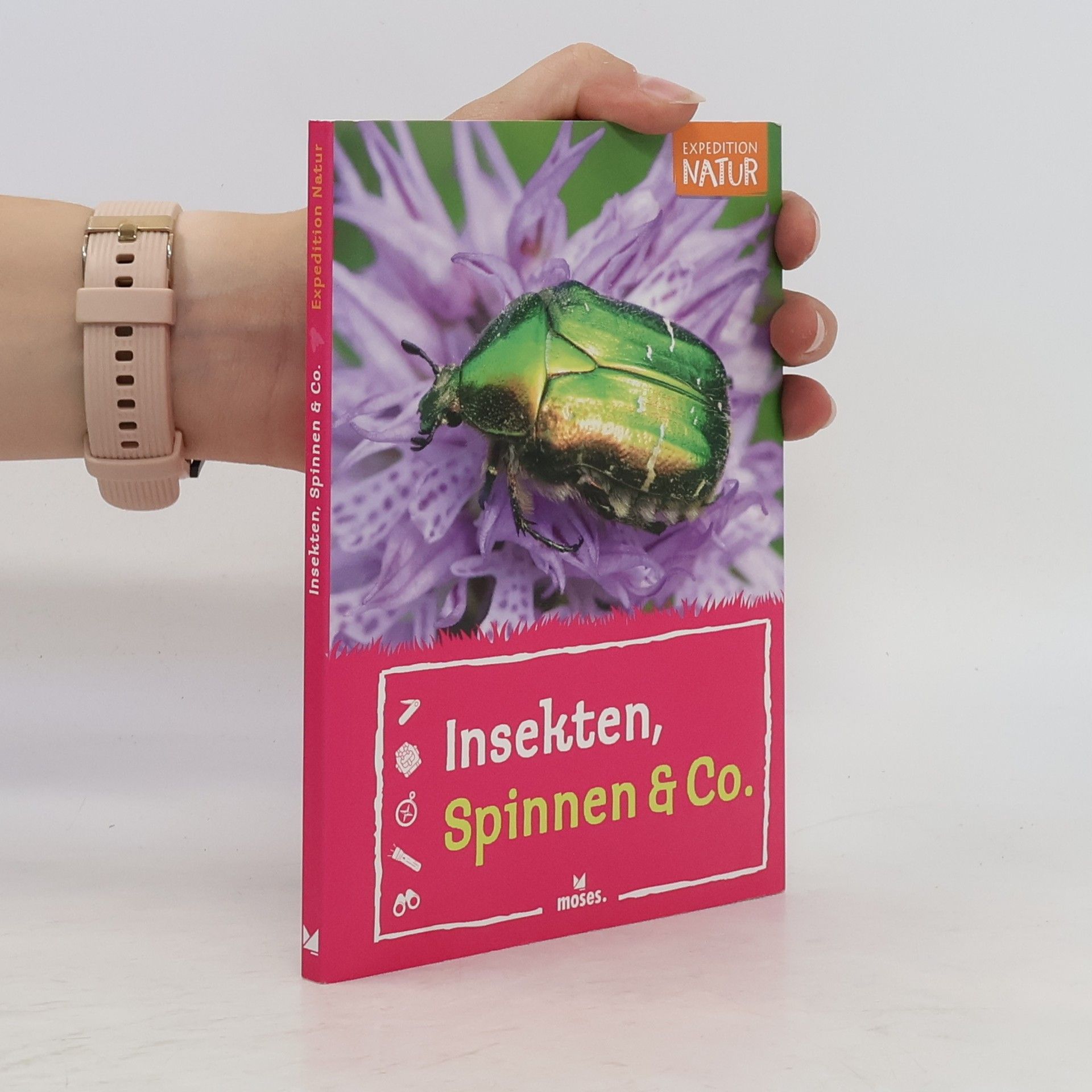 Anke Küpper Insekten, Spinnen & Co.