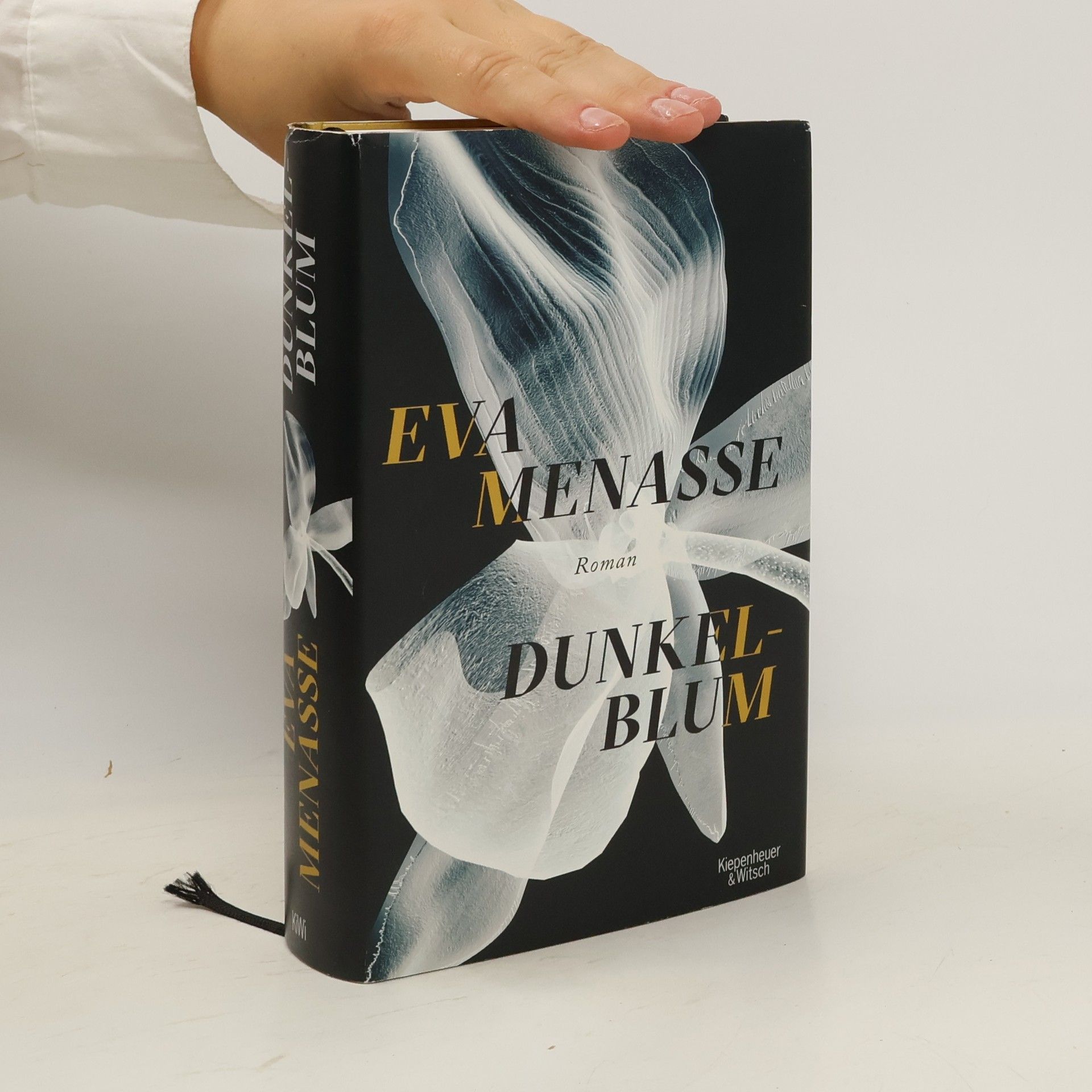 Eva Menasse Dunkelblum