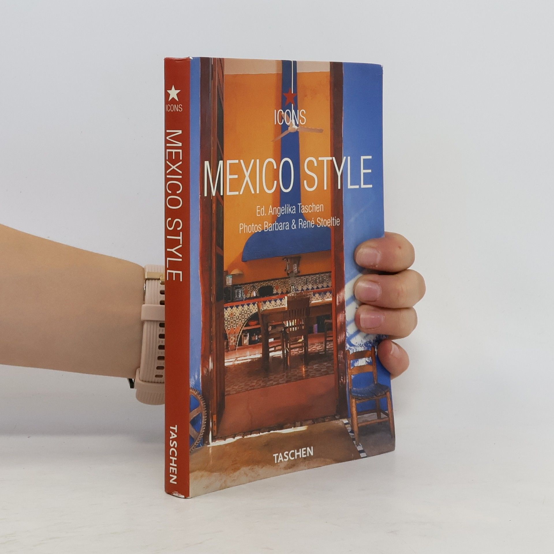 Barbara Stoeltie Mexico style : exteriors, interiors, details