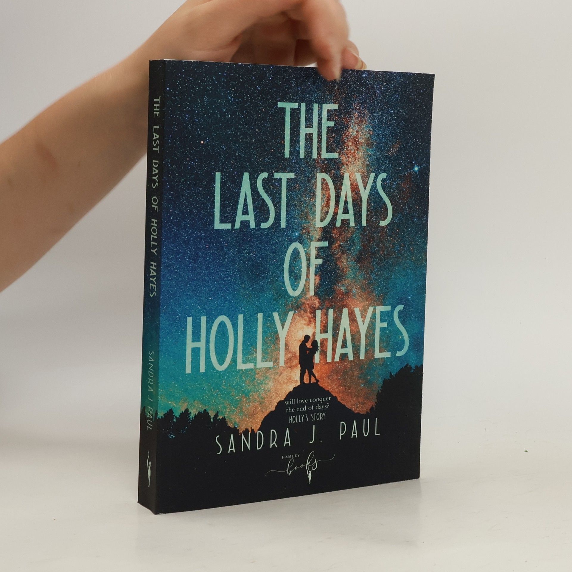 Sandra J. Paul The Last Days of Holly Hayes