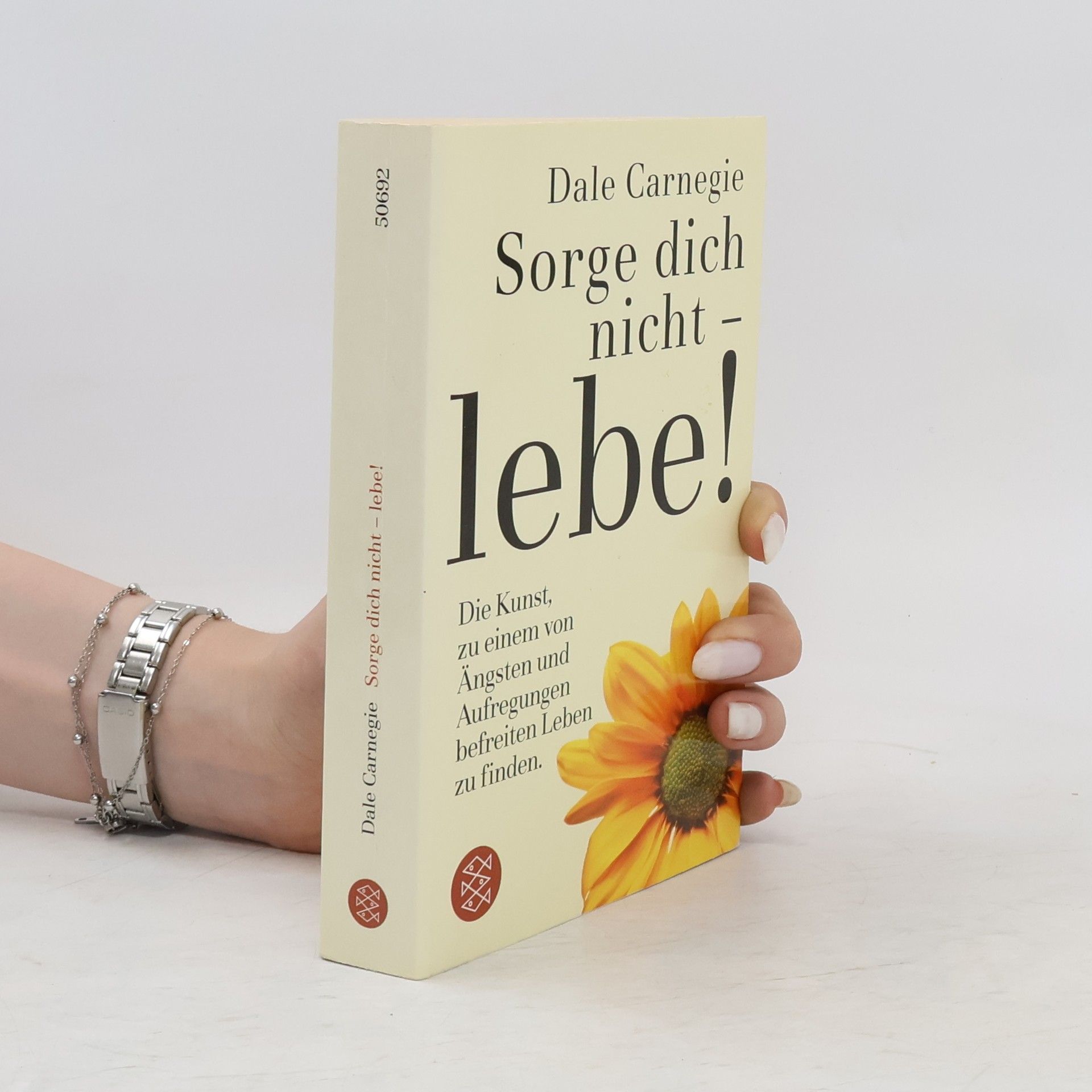 Dale Carnegie Sorge dich nicht - lebe!