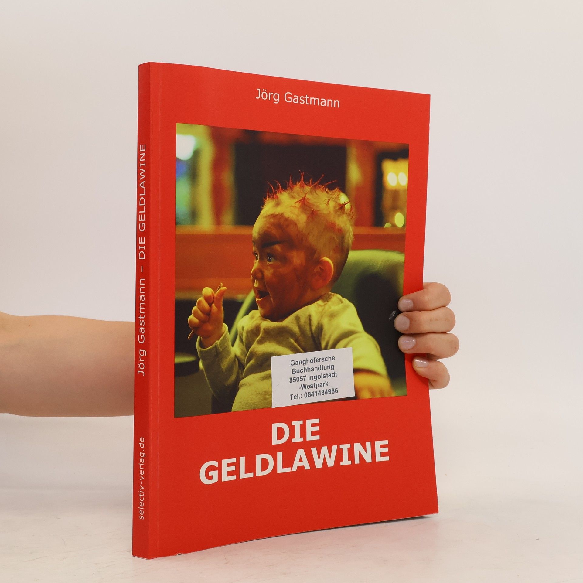 Jörg Gastmann Die Geldlawine