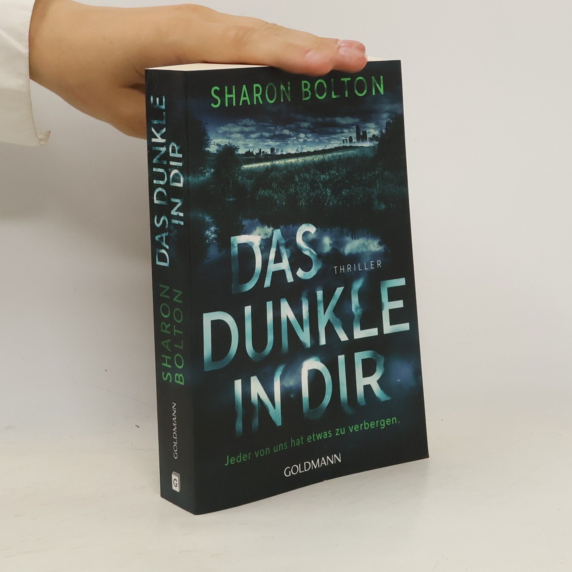S. J. Bolton Das Dunkle in dir