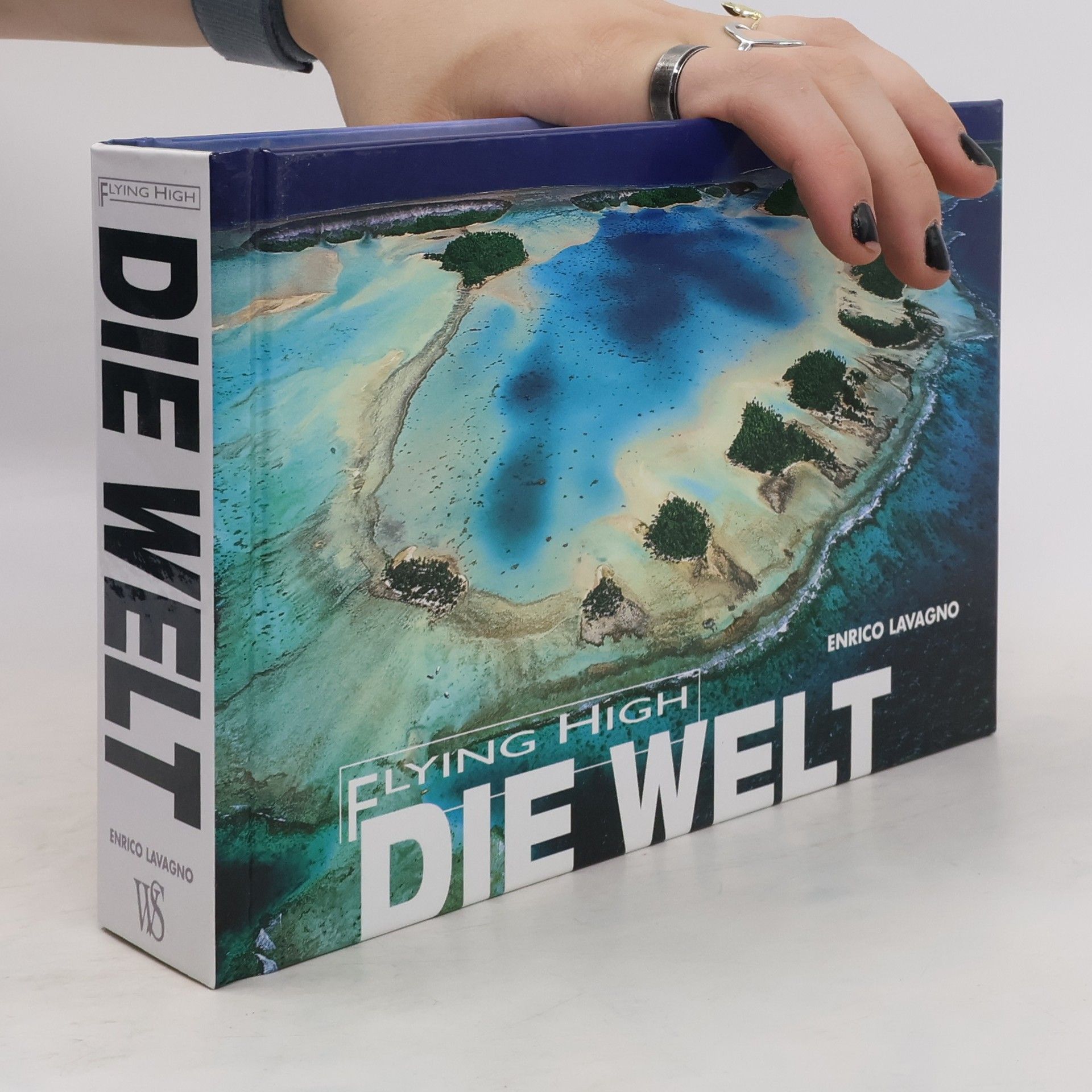 Enrico Lavagno Die Welt