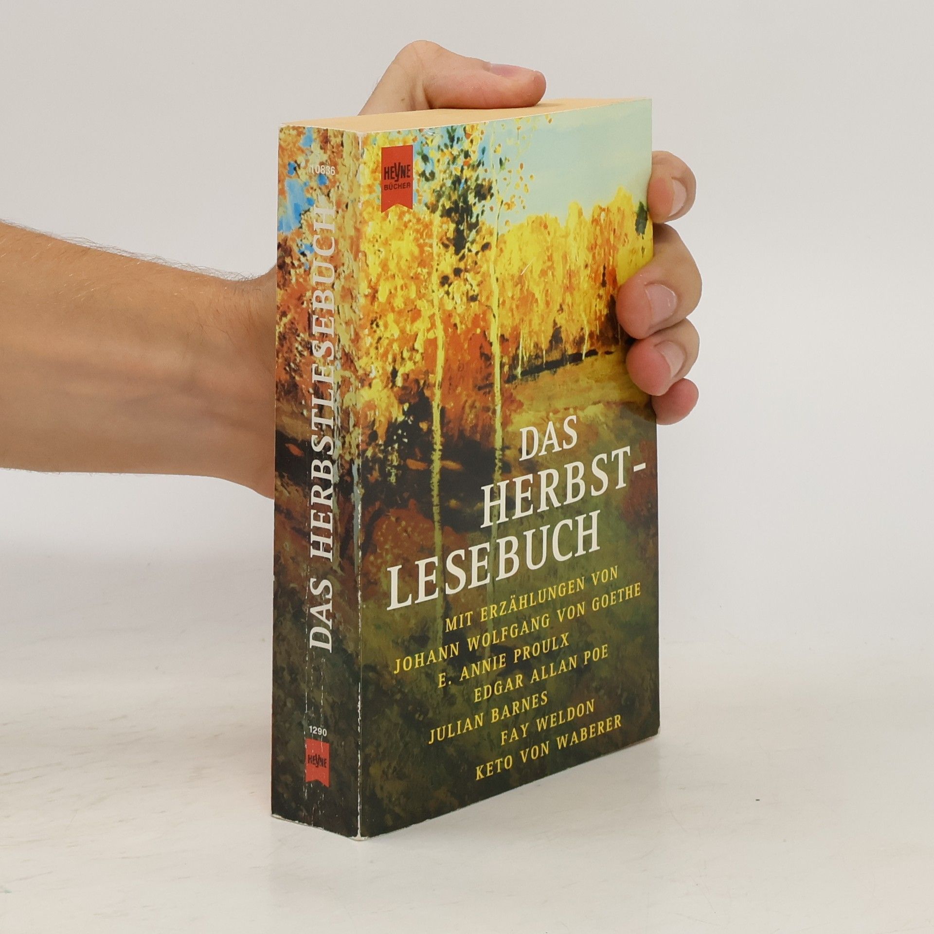 Autores varios Das Herbstlesebuch