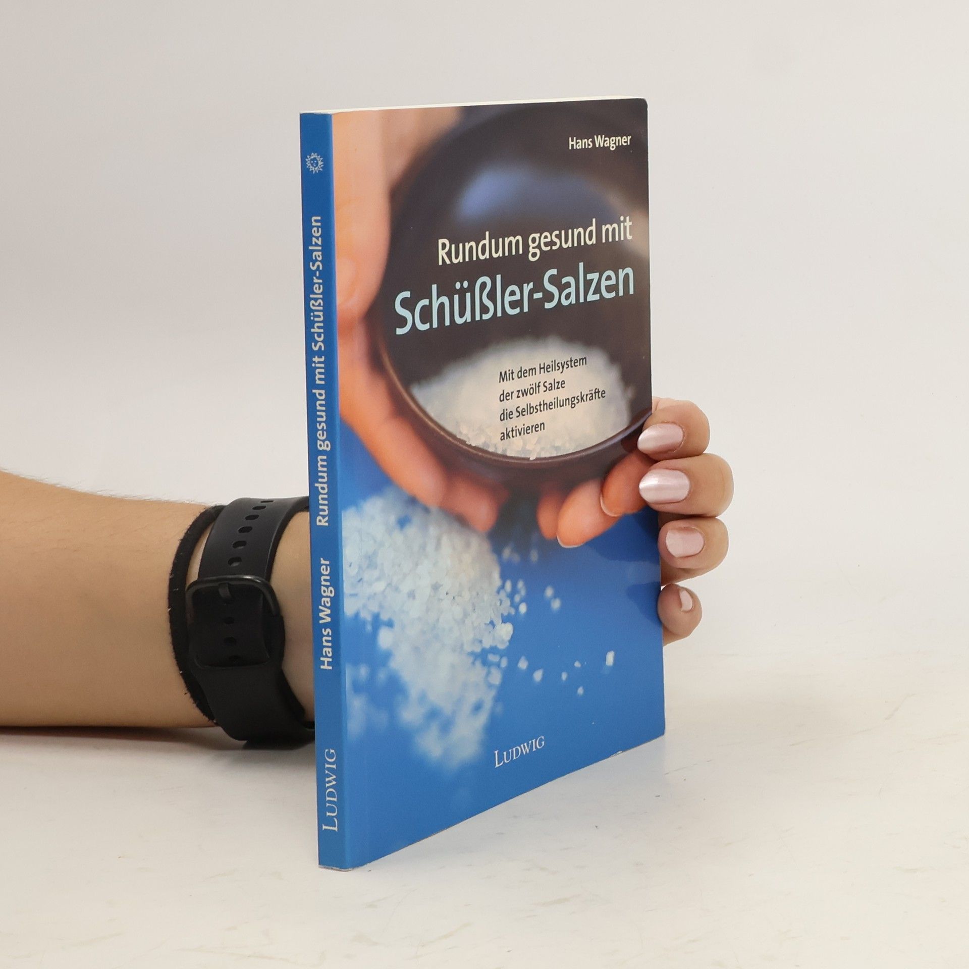 Hans Wagner Rundum gesund mit Schüßler-Salzen