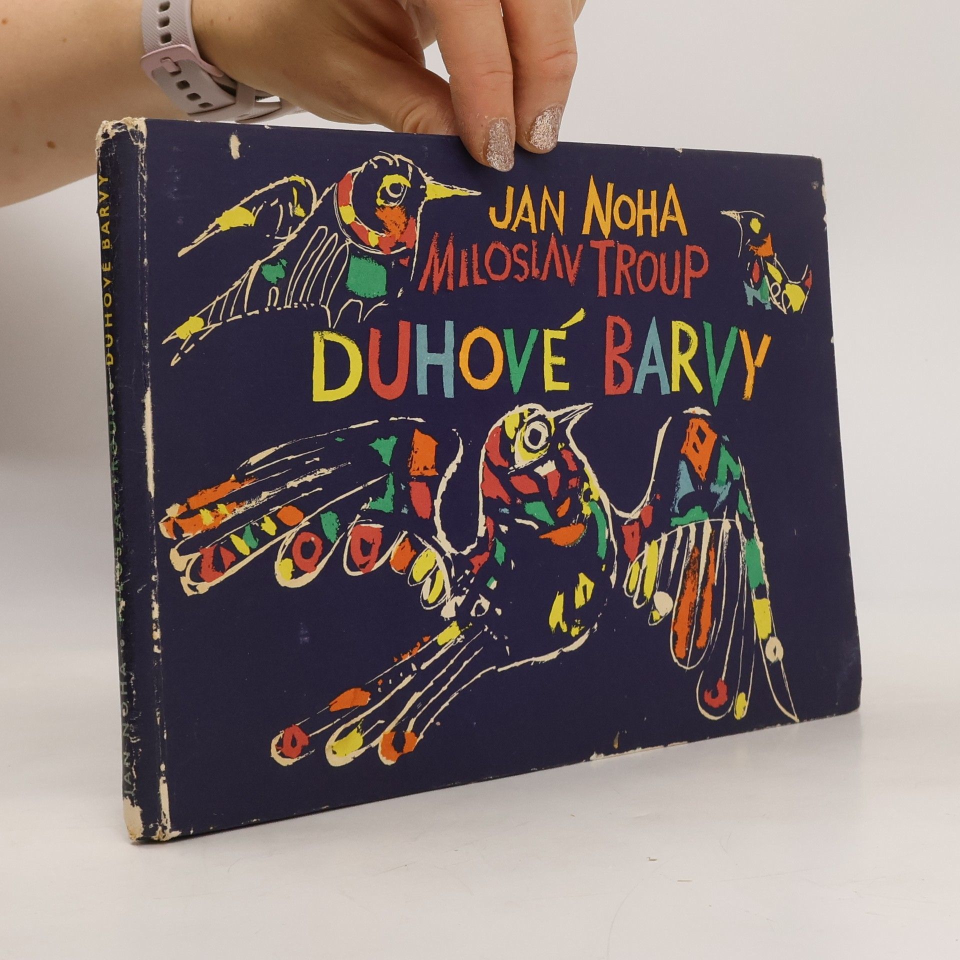 Jan Noha Duhové barvy