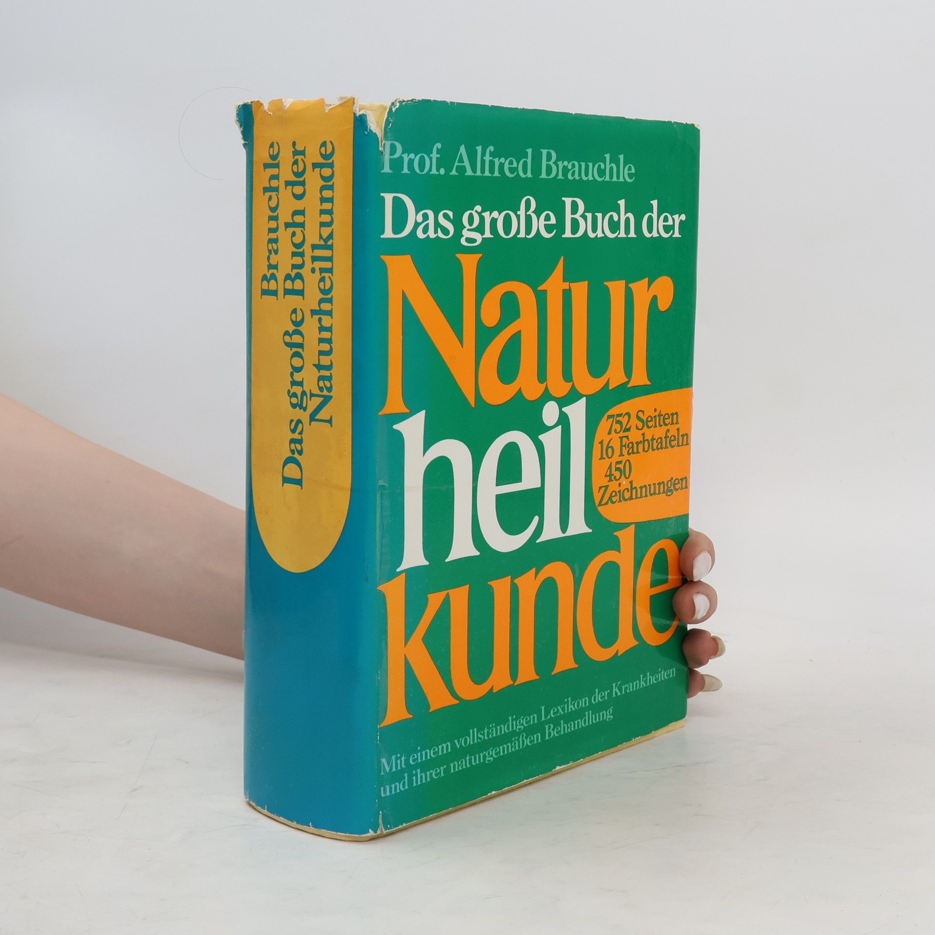 Alfred Brauchle Das grosse Buch der Naturheilkunde