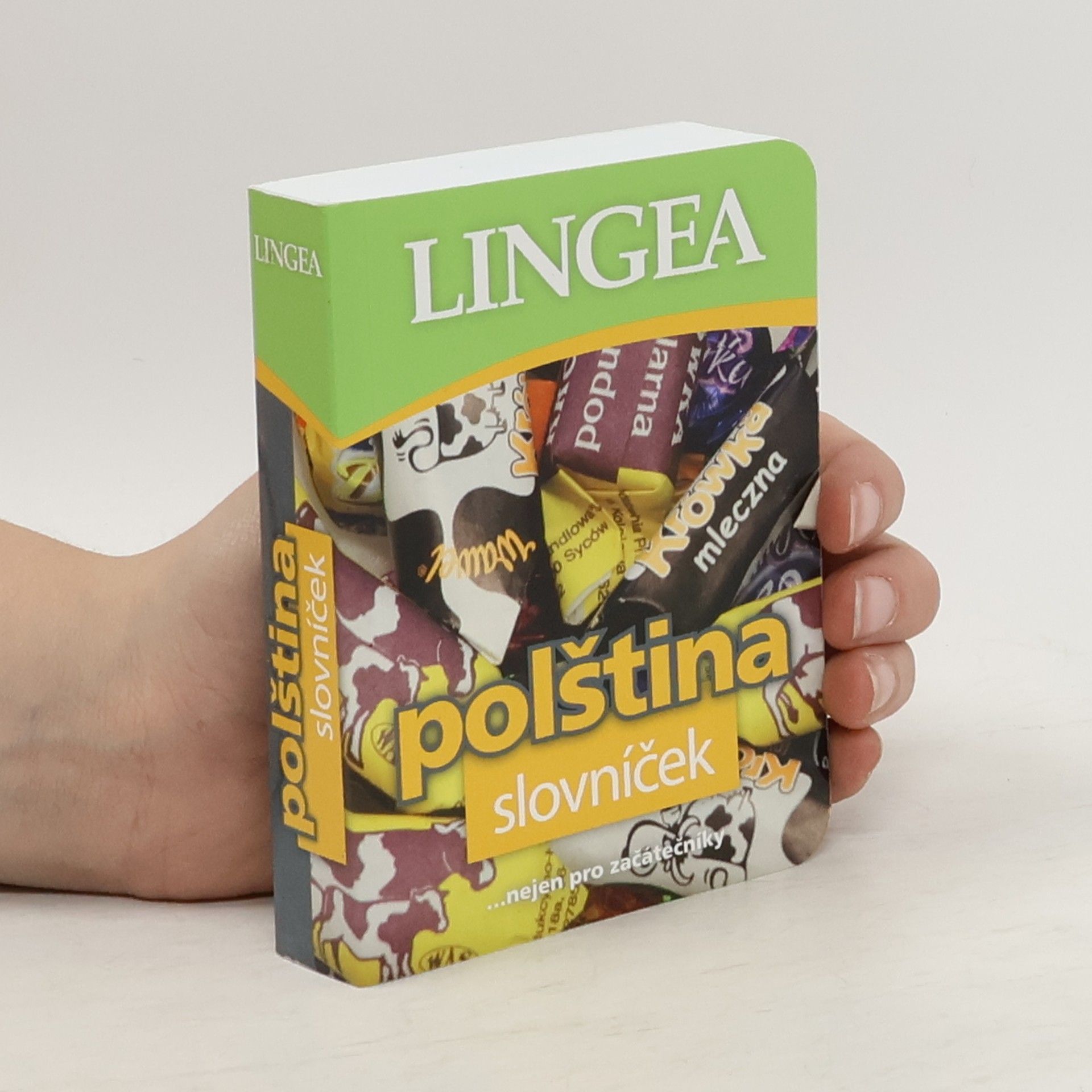 kolektiv Polština: Slovníček