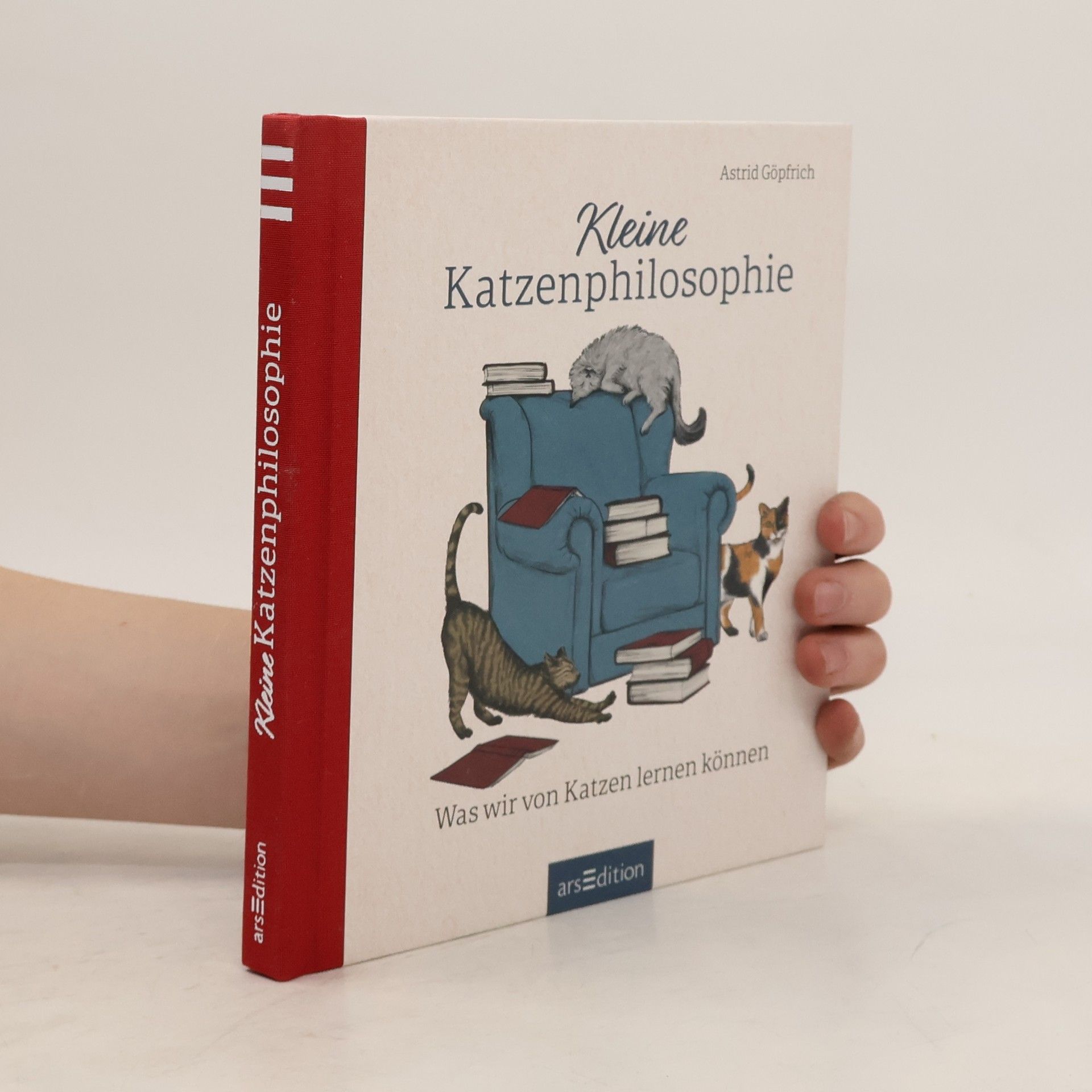 Kleine Katzenphilosophie. Was wir von Katzen lernen können