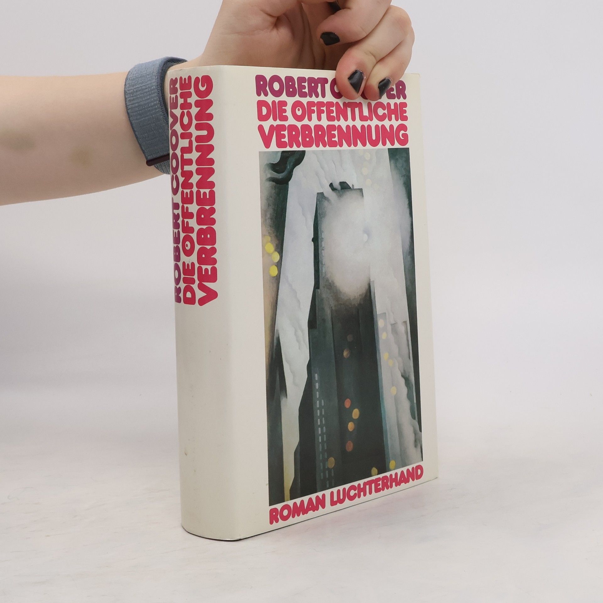 Robert Coover Die öffentliche Verbrennung