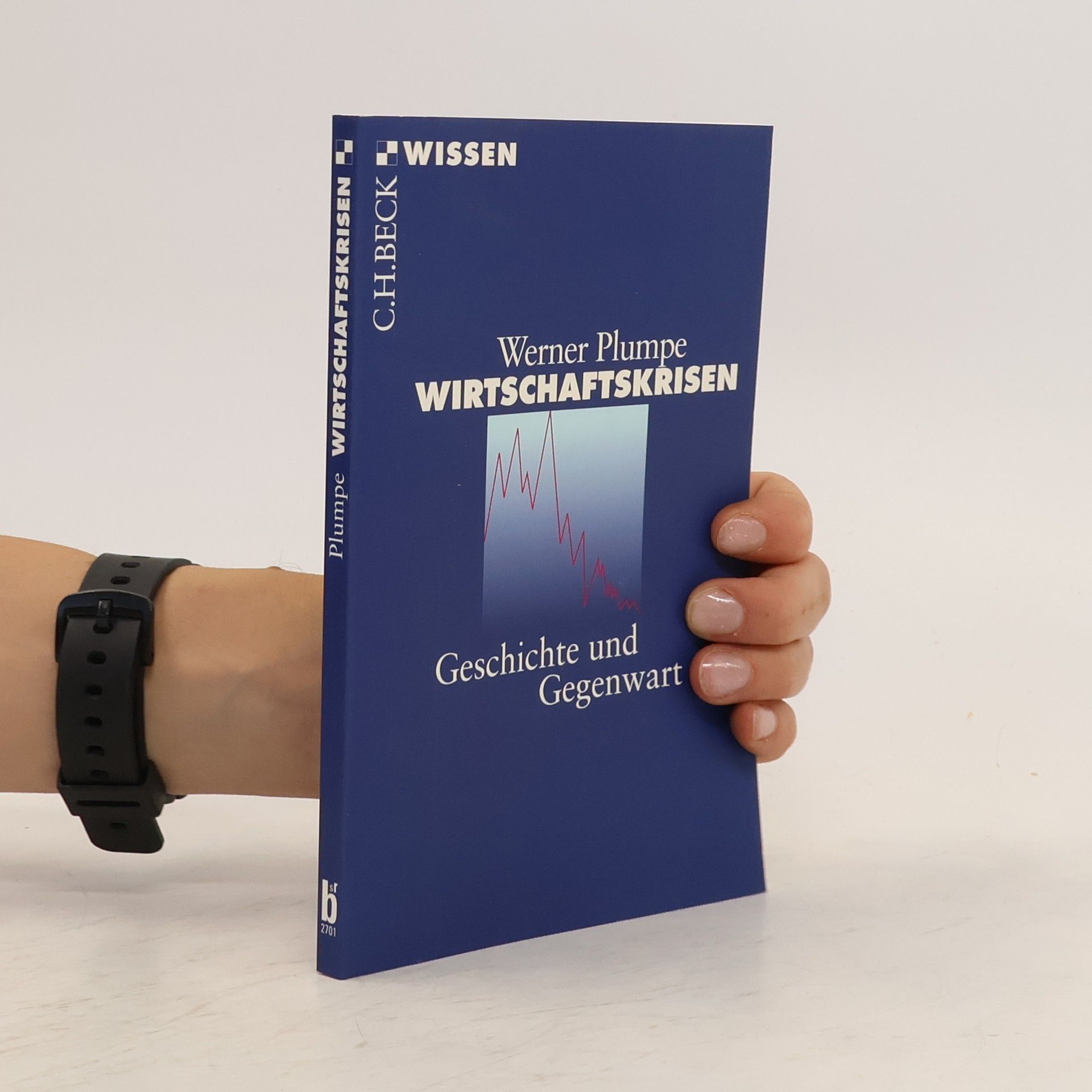 Werner Plumpe Wirtschaftskrisen