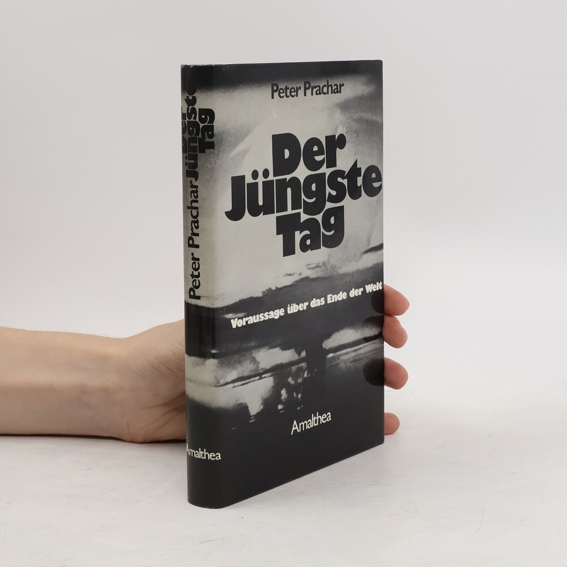 Peter Prachar Der Jüngste Tag