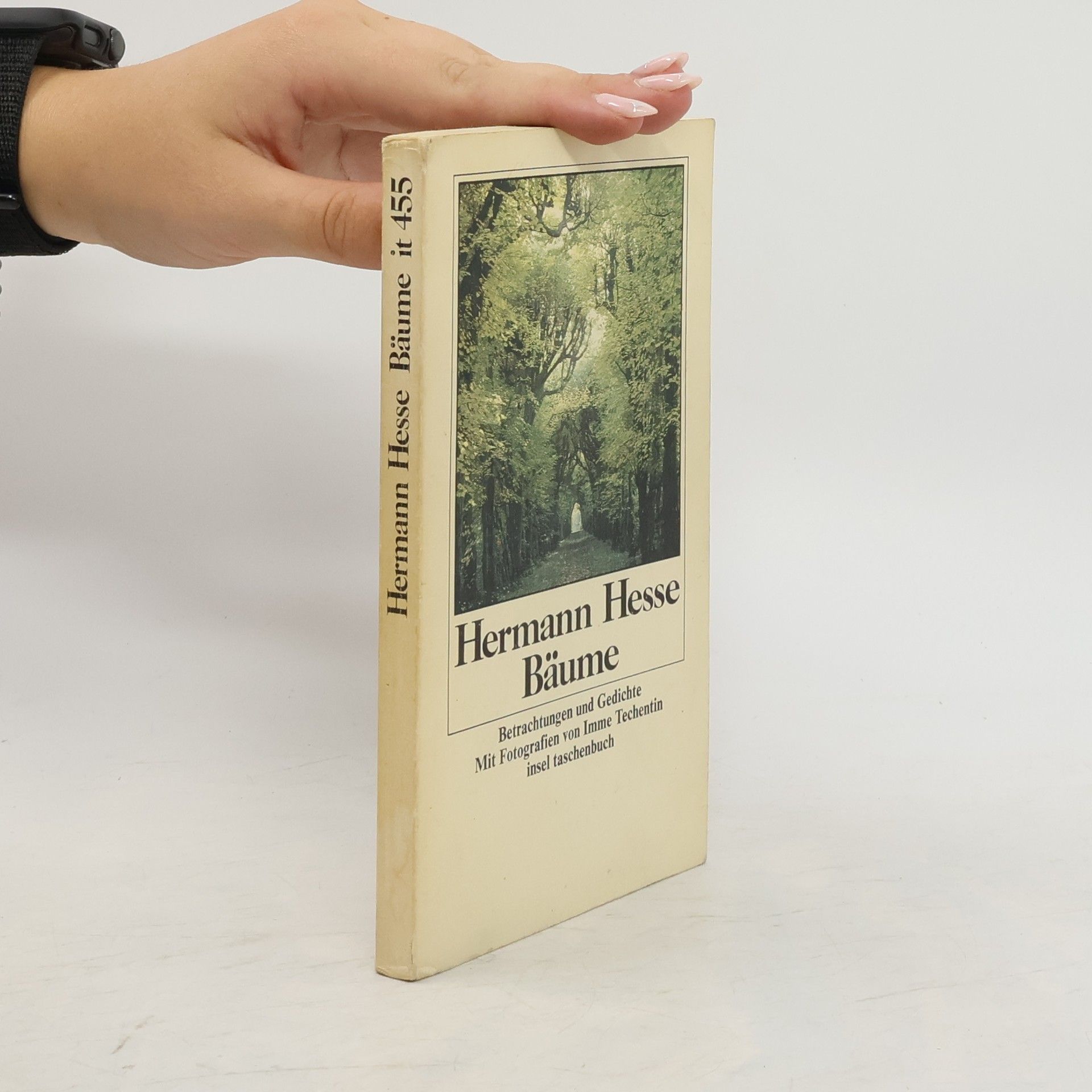 Hermann Hesse Bäume