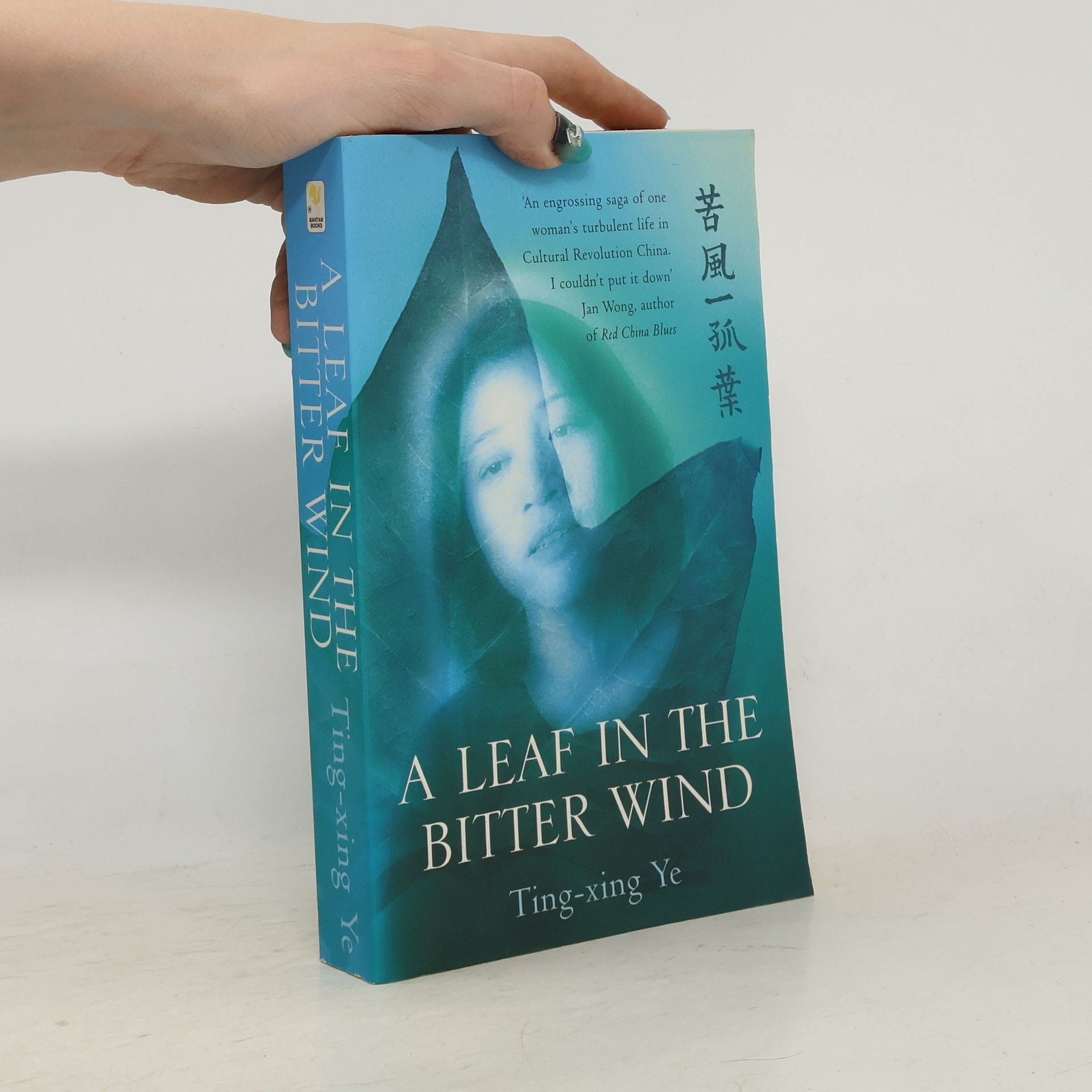 Ting xing Ye A Leaf in the Bitter Wind