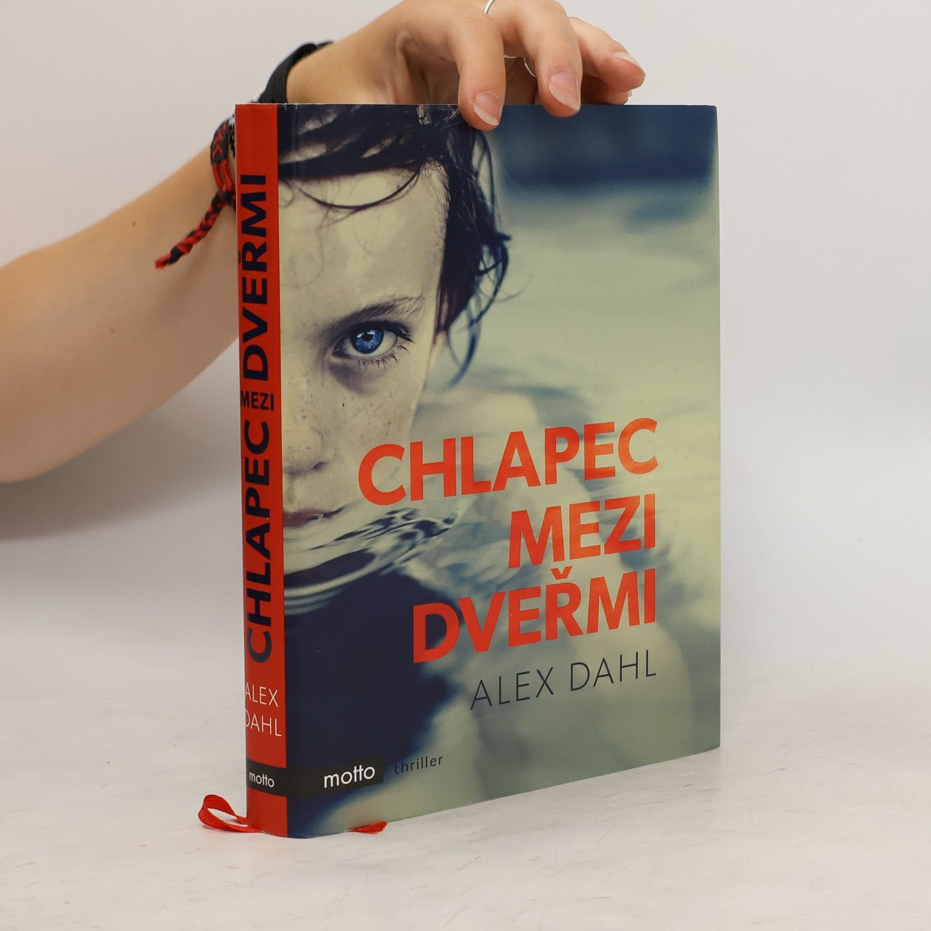 Alex Dahl Chlapec mezi dveřmi