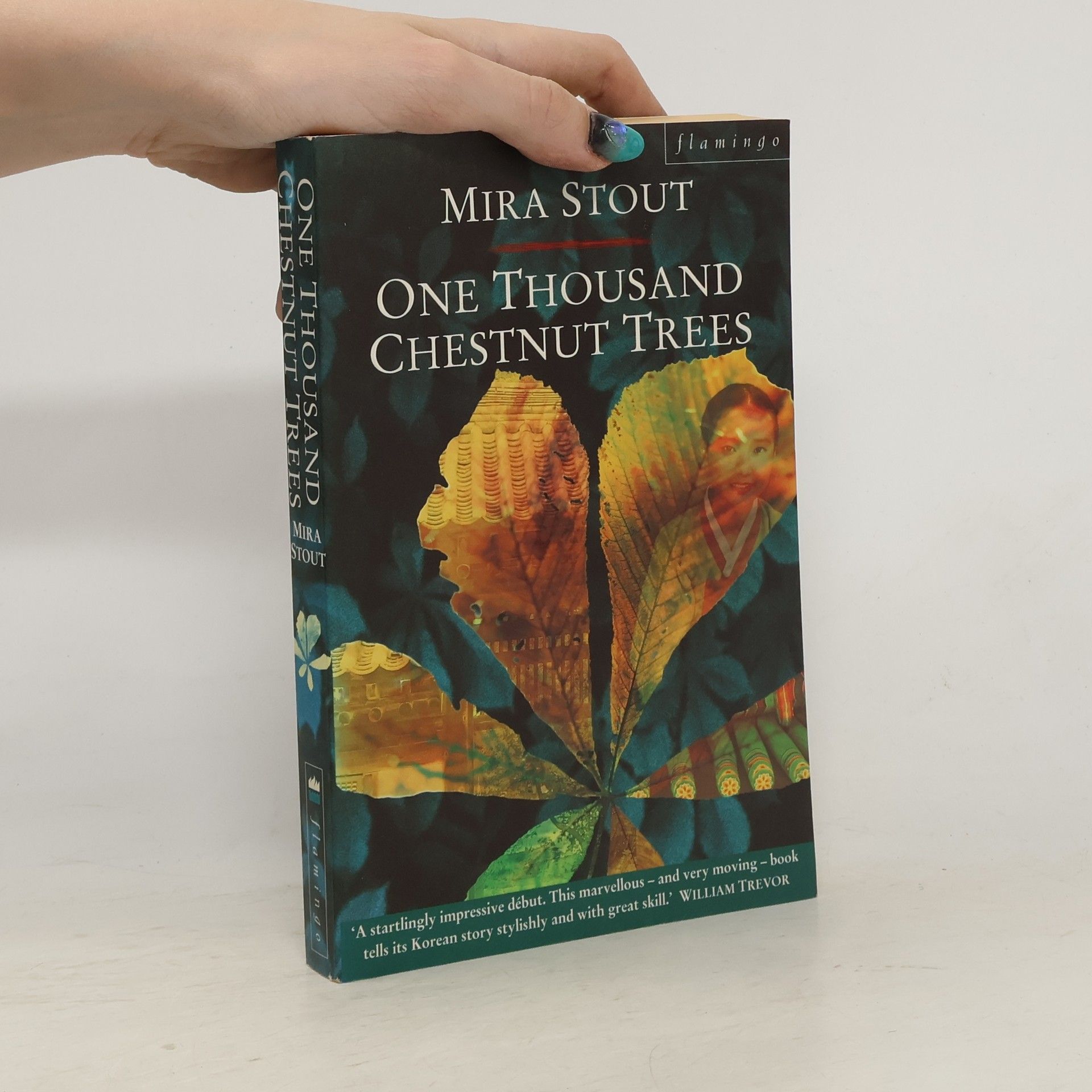 Mira Stout One Thousand Chestnut Trees