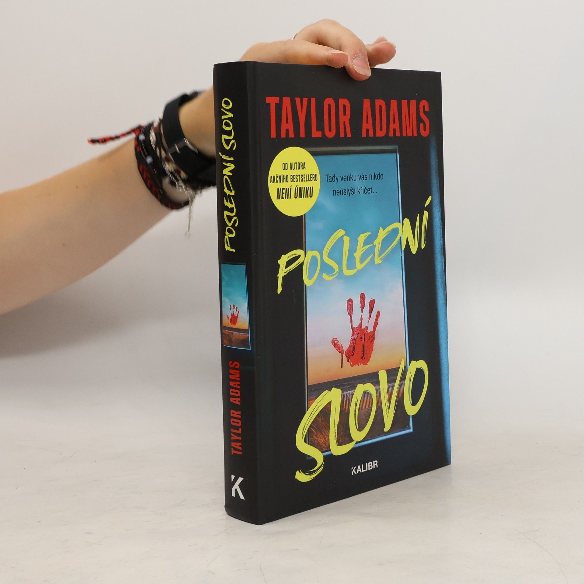 Irena Steinerová Poslední slovo