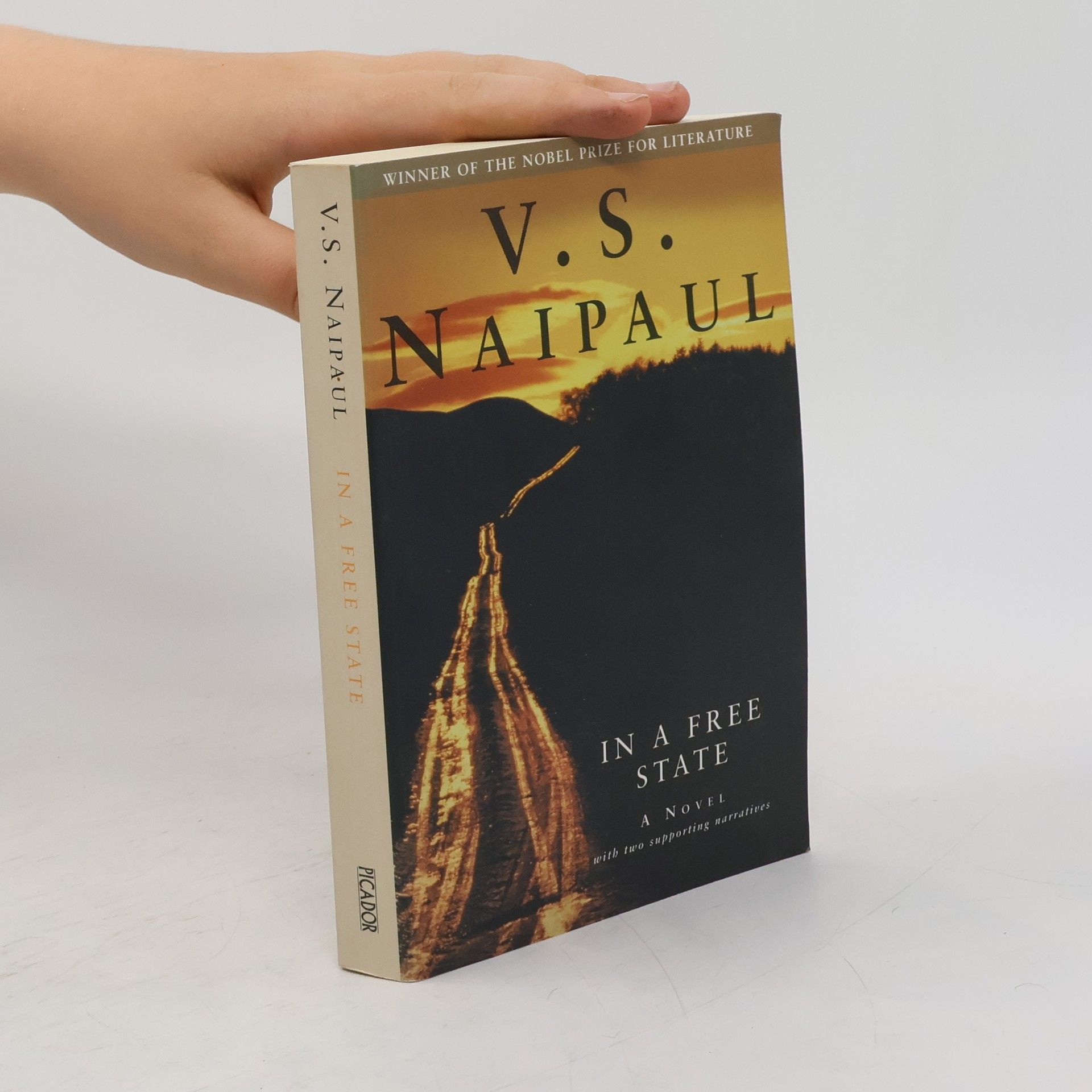 V. S. Naipaul In a free state