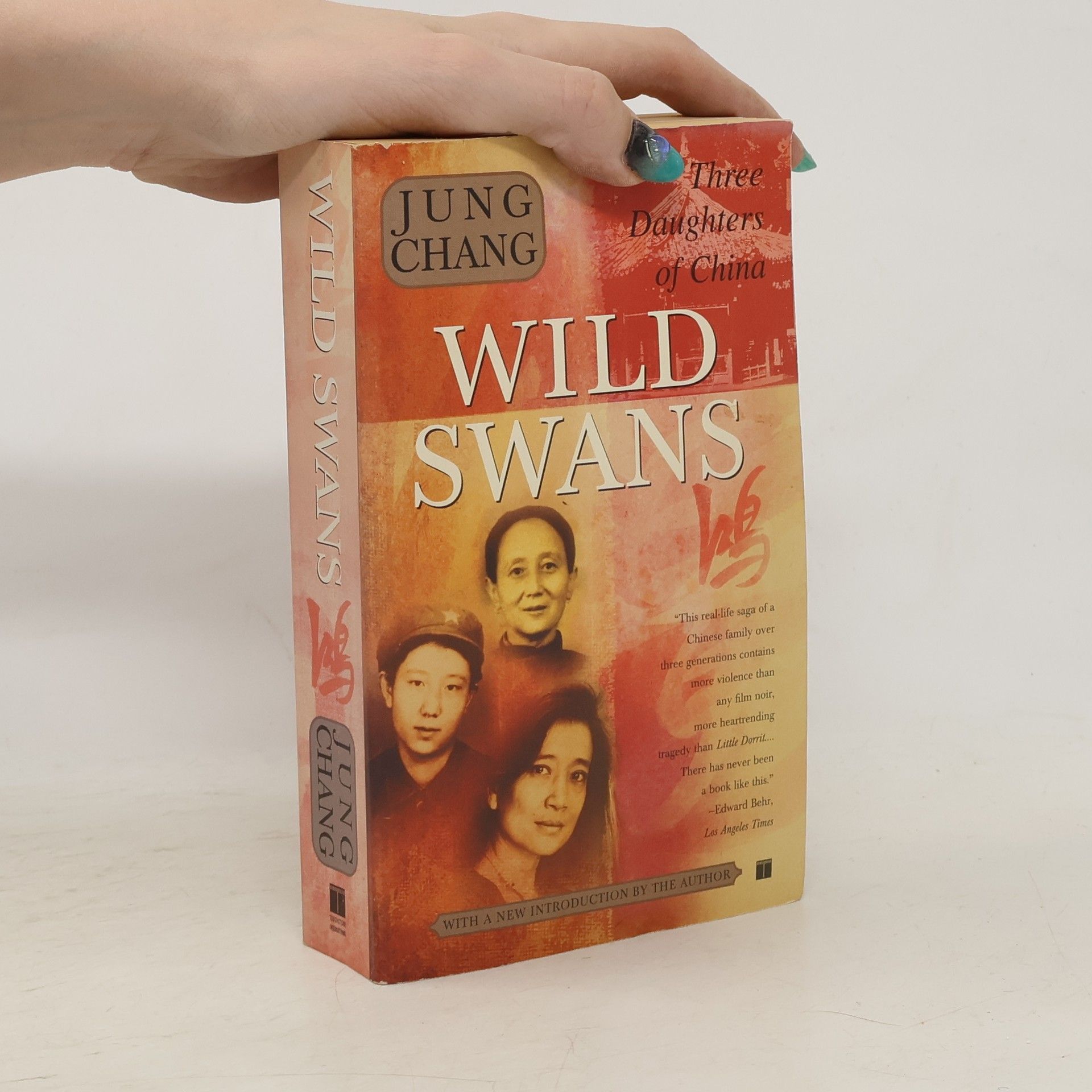 Yong Chang Wild swans. Three daughters of China