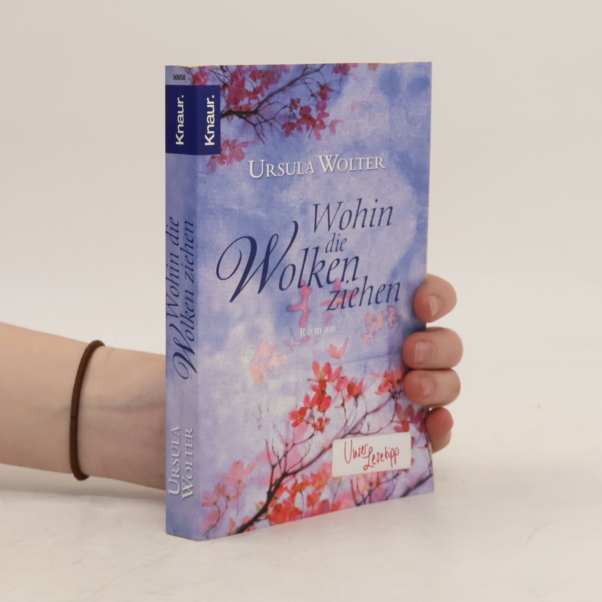 Ursula Wolter Wohin die Wolken ziehen. Roman