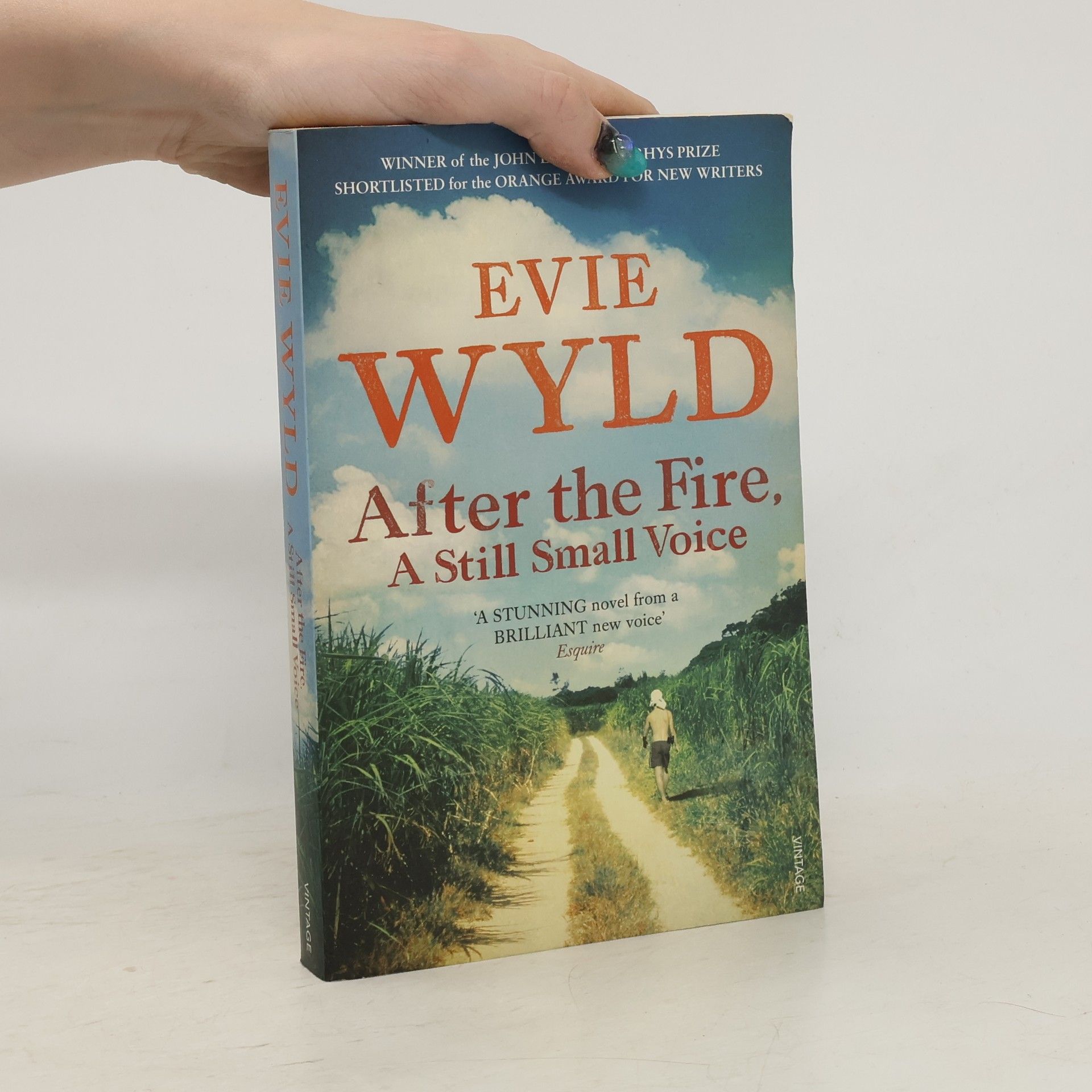 Evie Wyld After the Fire, A Still Small Voice