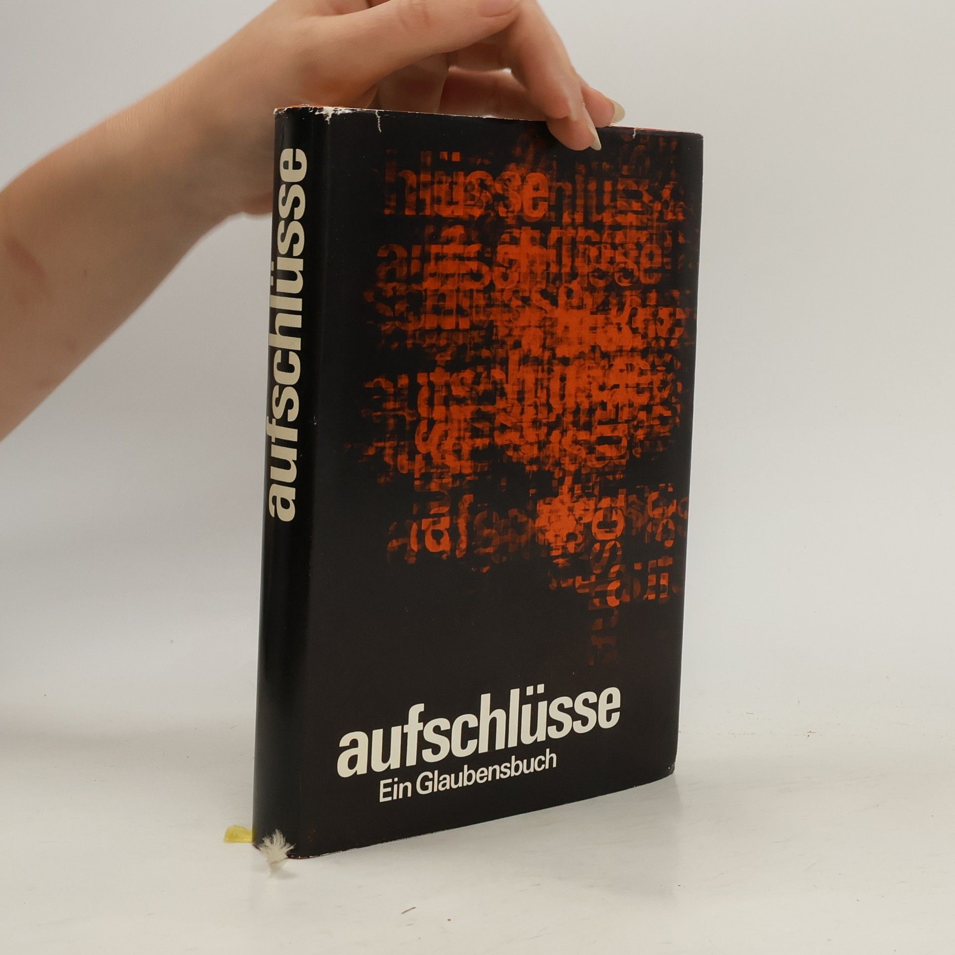 Rose-Maria Raatz Aufschlüsse: Ein Glaubensbuch