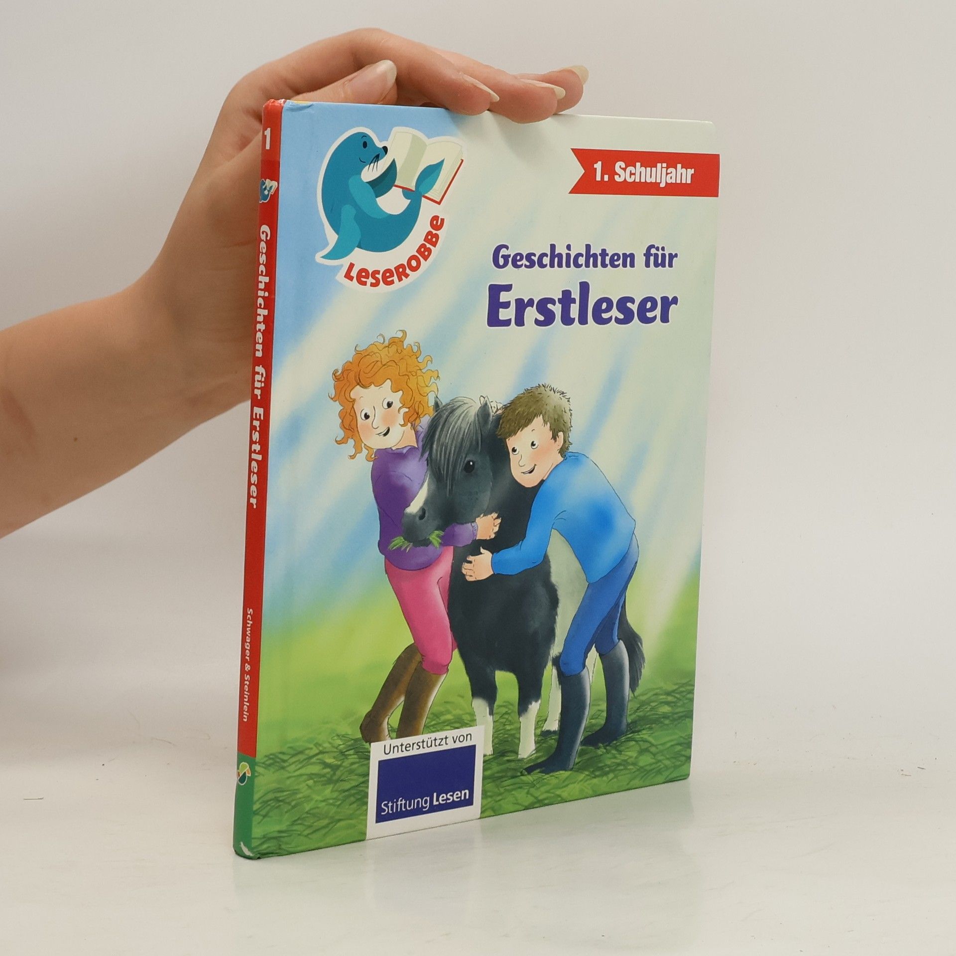Autores varios Geschichten für Erstleser. 1. Schuljahr