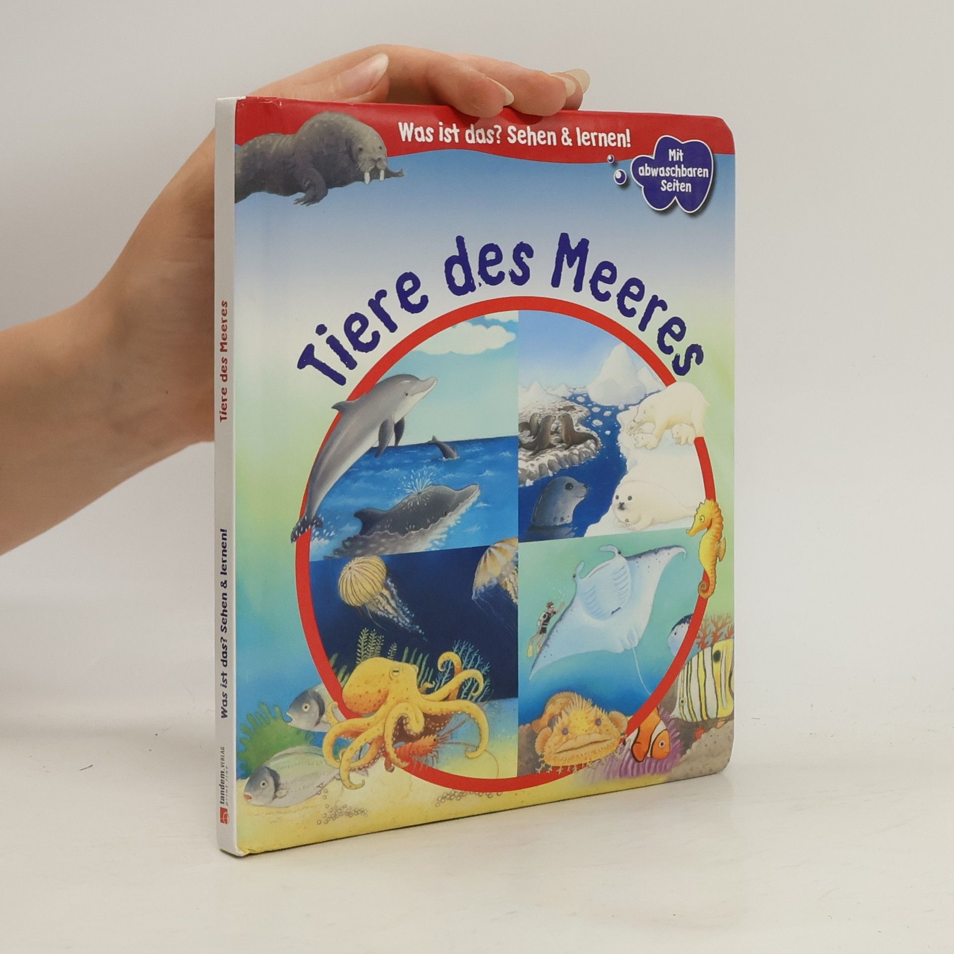 Stéphanie Redoulès Tiere des Meeres