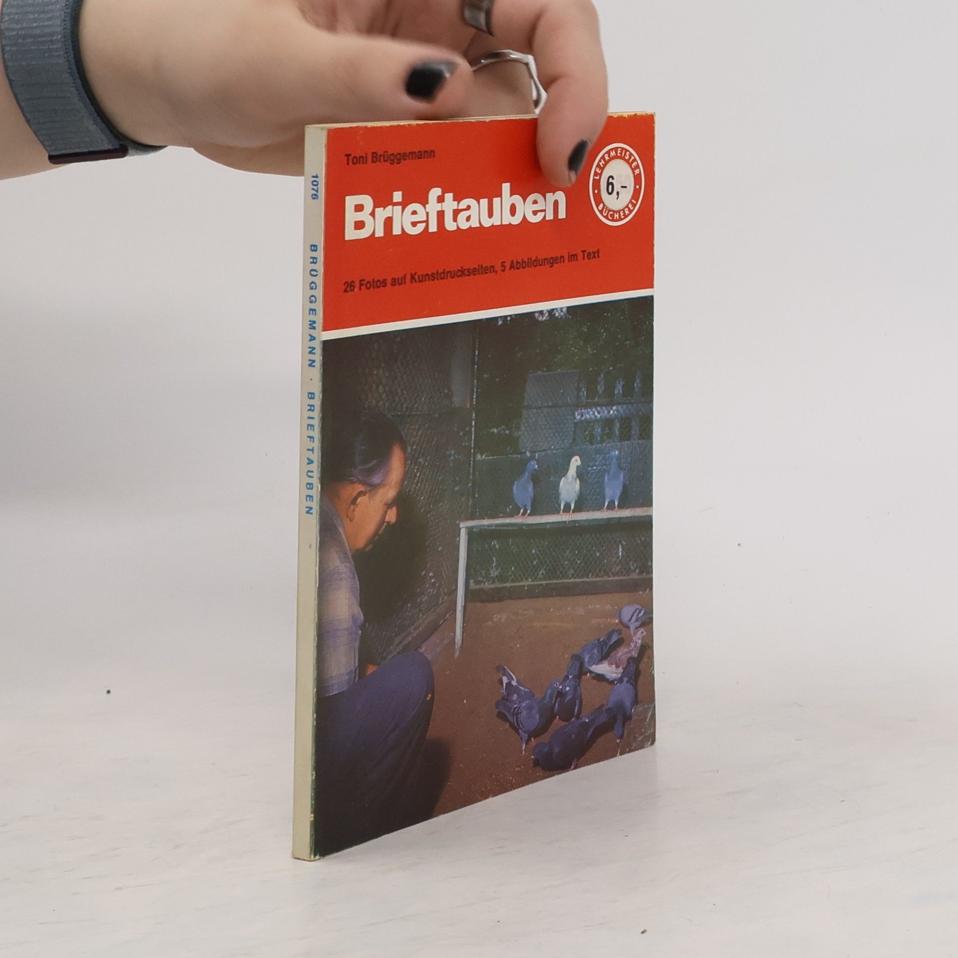 Toni Brüggemann Brieftauben