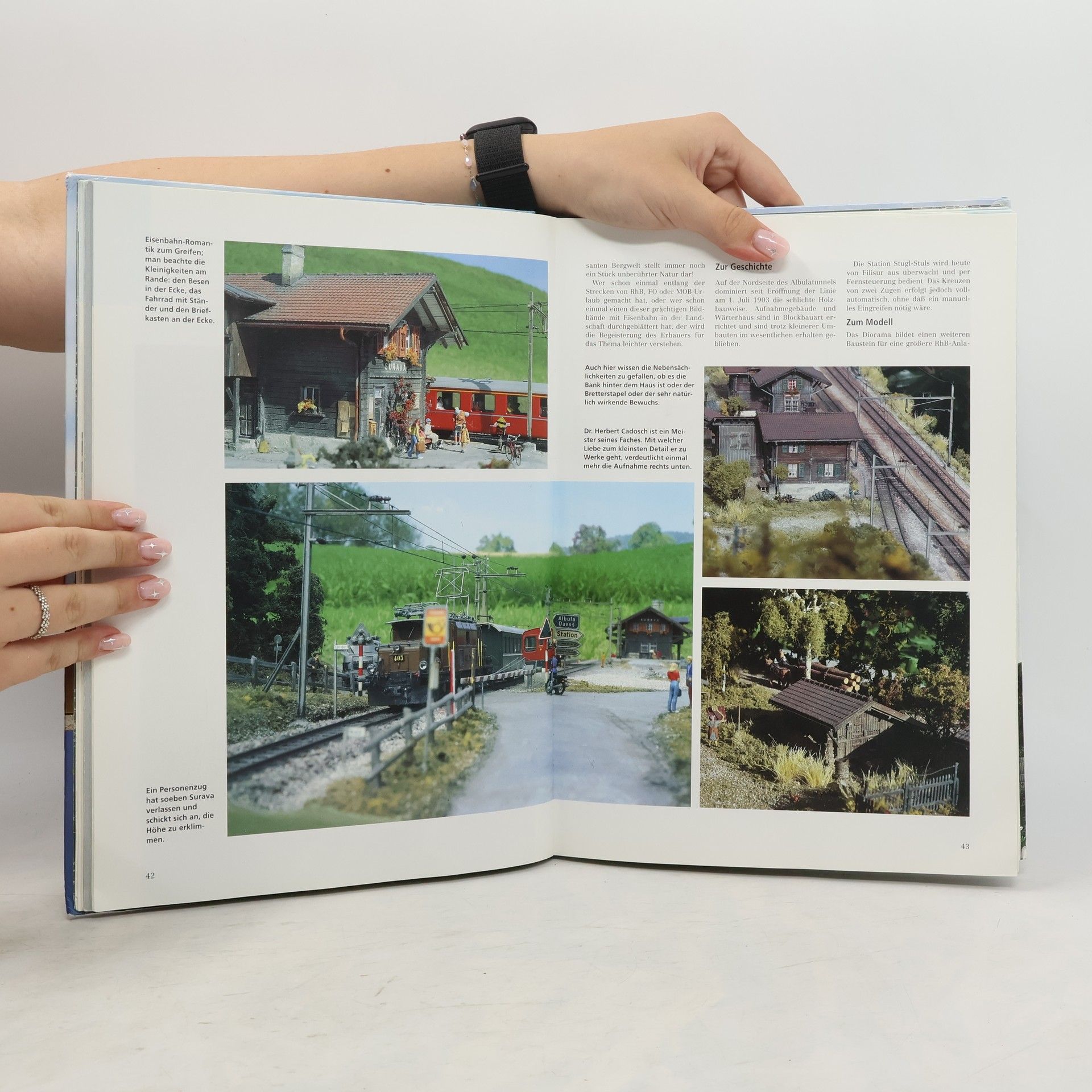 Das grosse Buch der Modellbahn-Anlagen