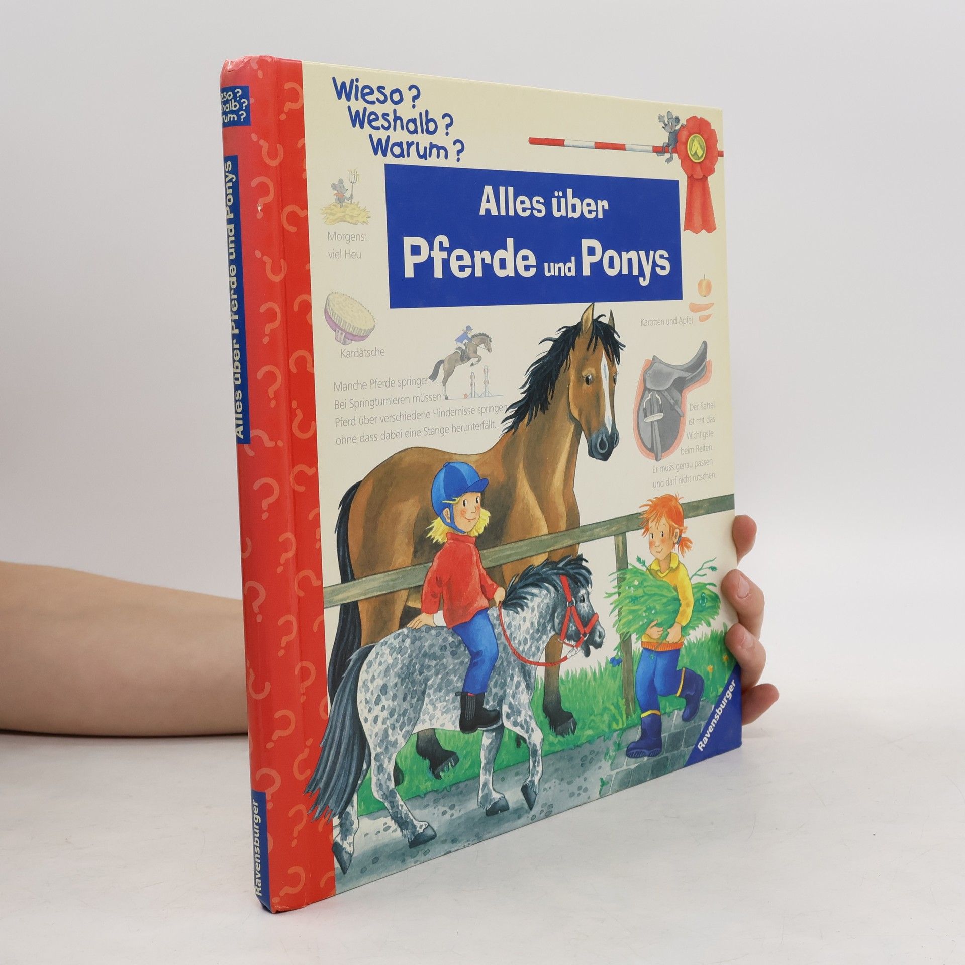 Andrea Erne Alles über Pferde und Ponys