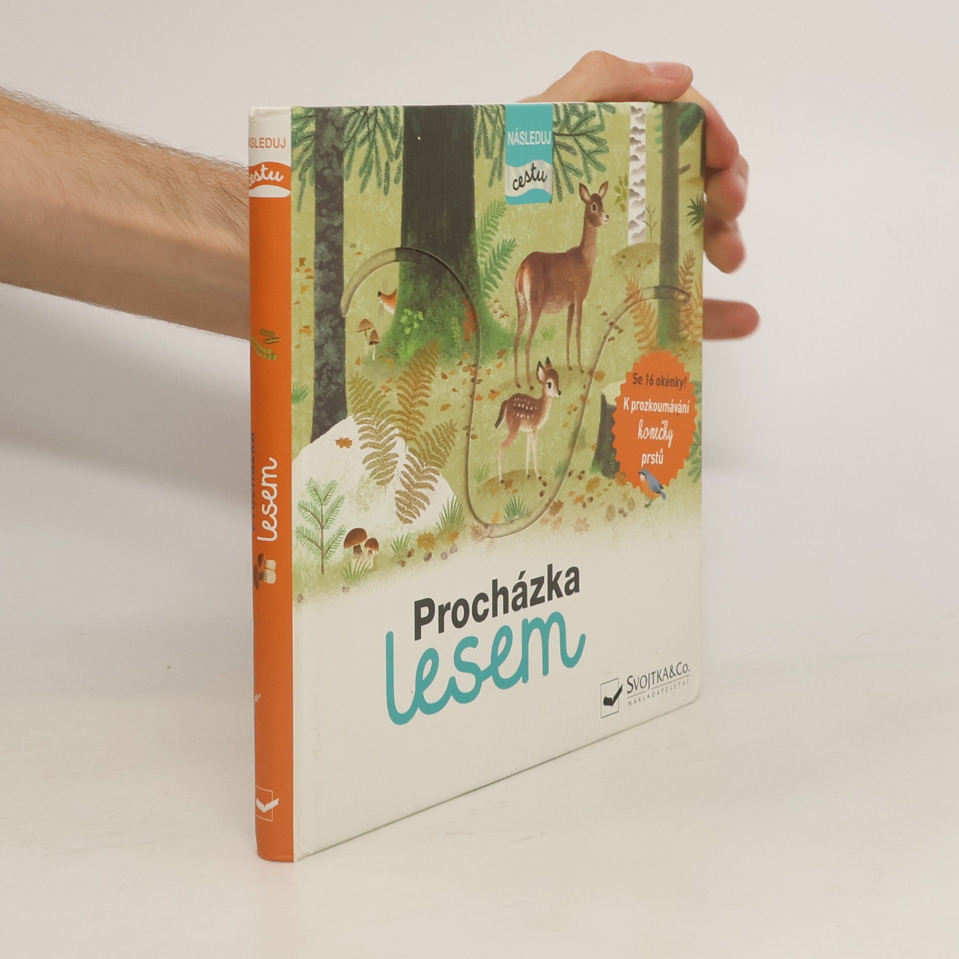Tereza Fraňková Procházka lesem
