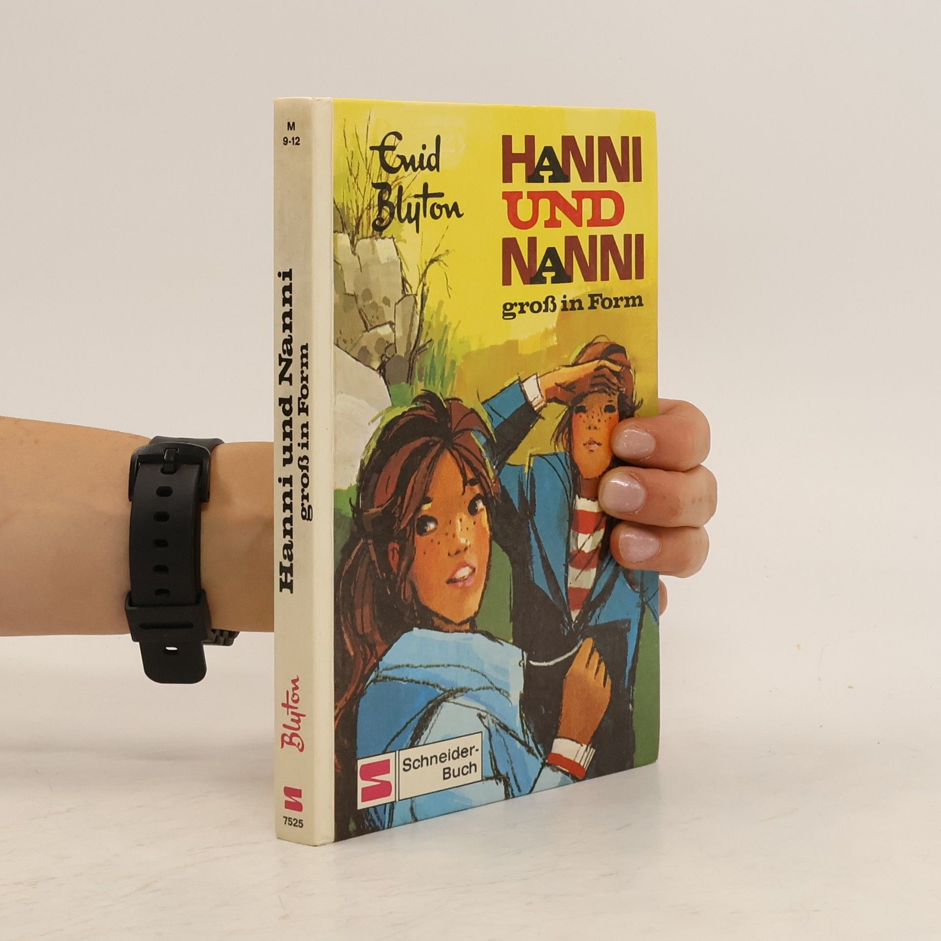Enid Blyton Hanni und Nanni groß in Form