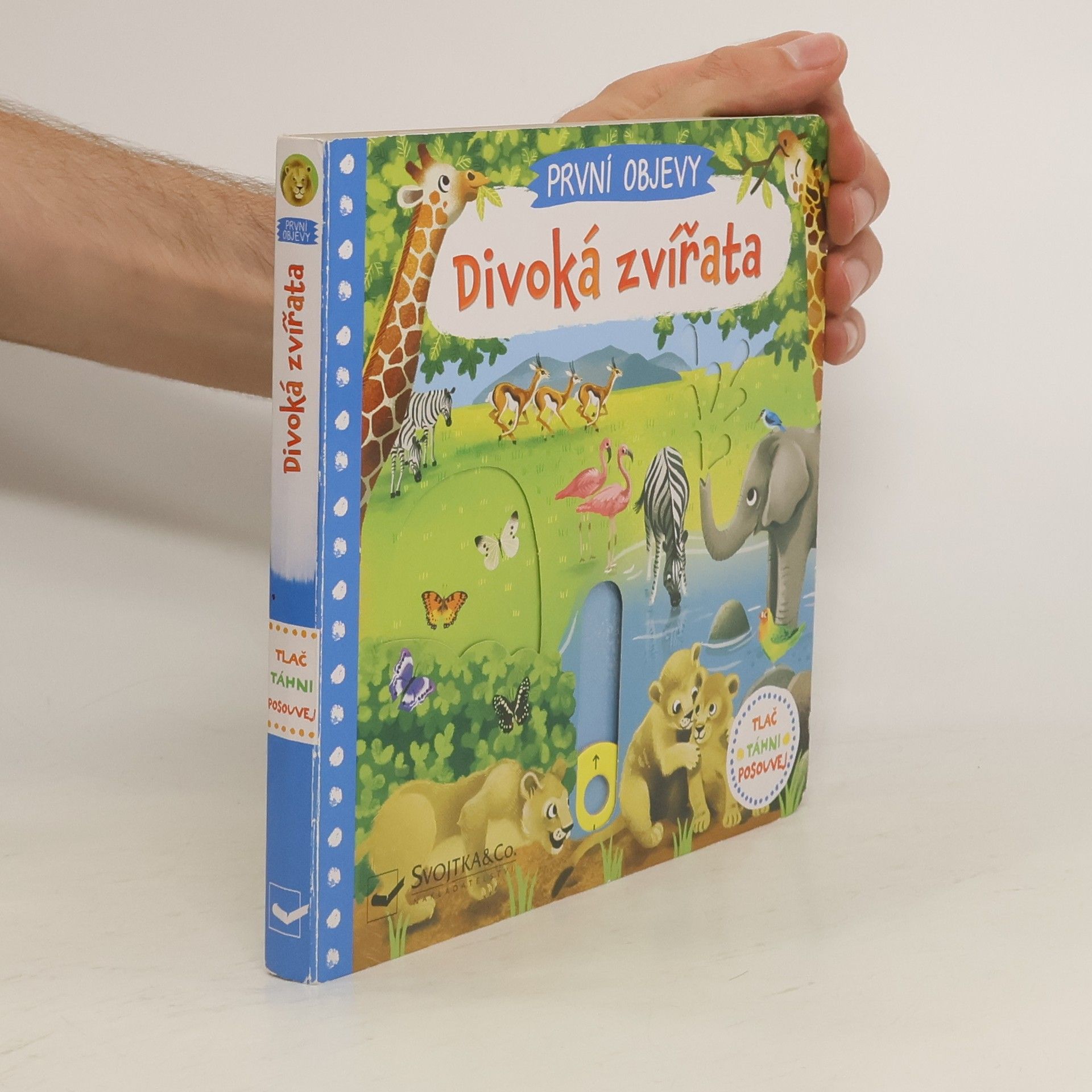 Jenny Wren Divoká zvířata