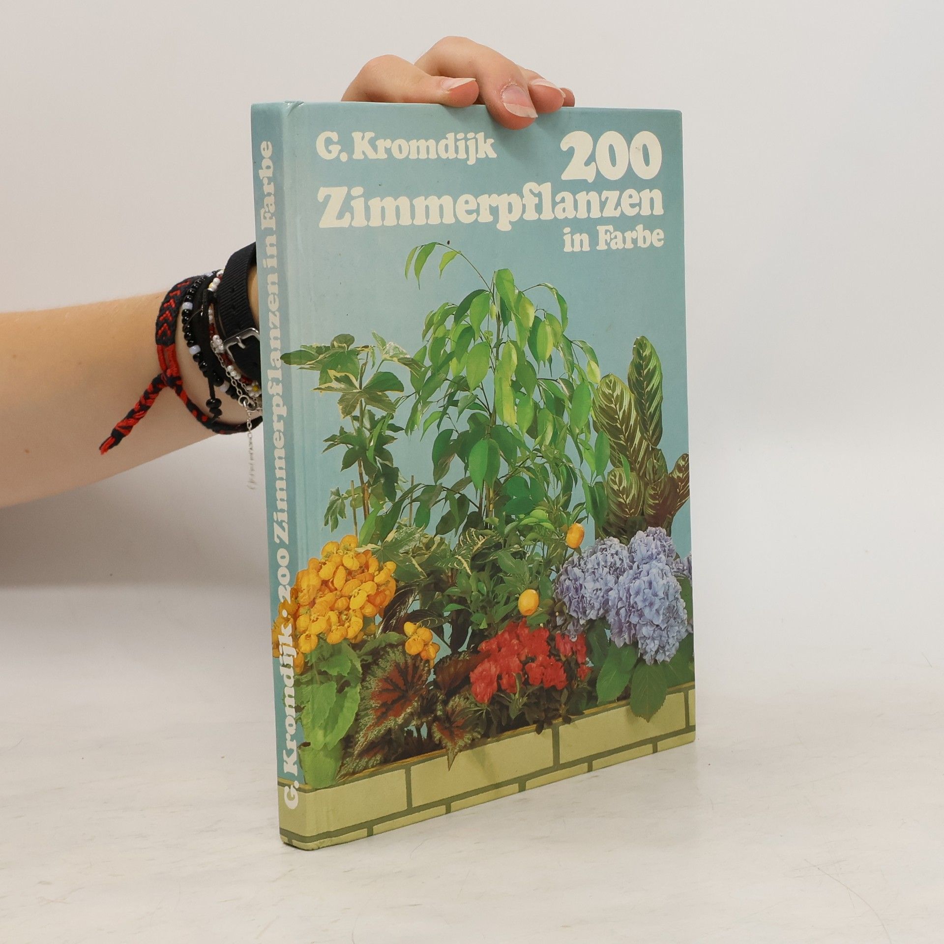 G. Kromdijk 200 Zimmerpflanzen in Farbe