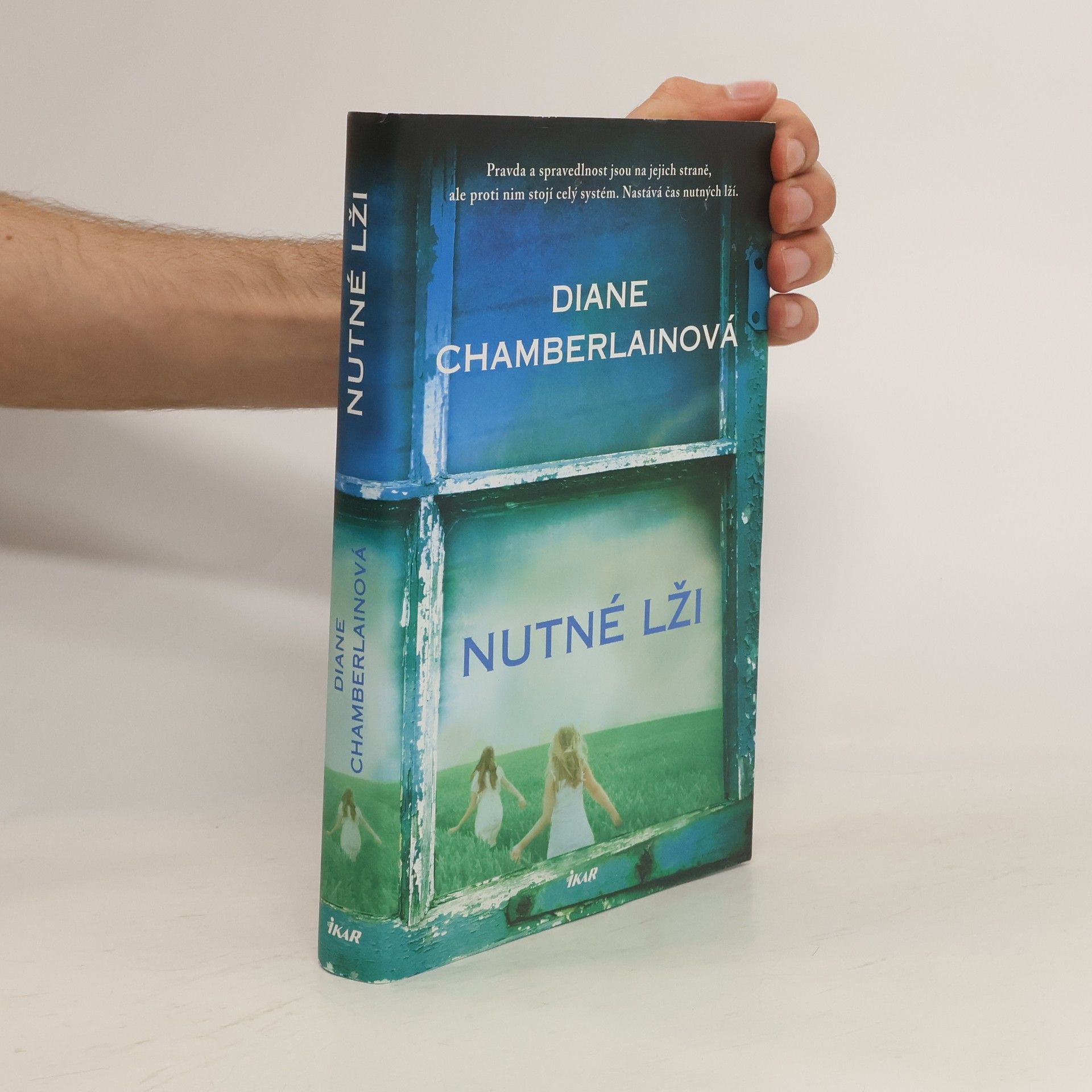 Diane Chamberlain Nutné lži
