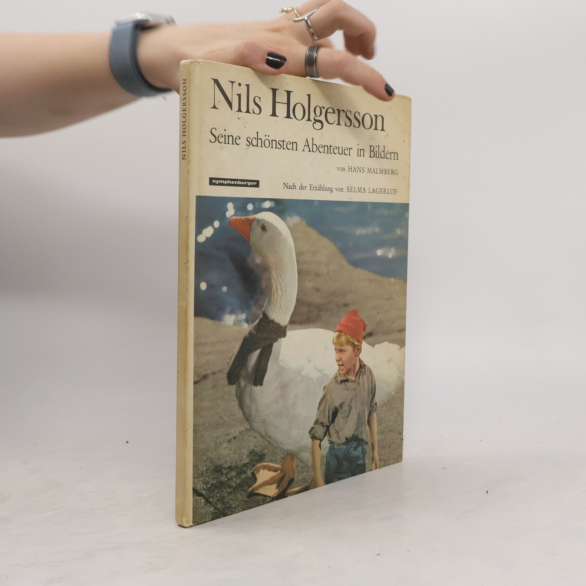 Selma Lagerlöf Nils Holgersson: Seine schönsten Abenteuer in Bildern
