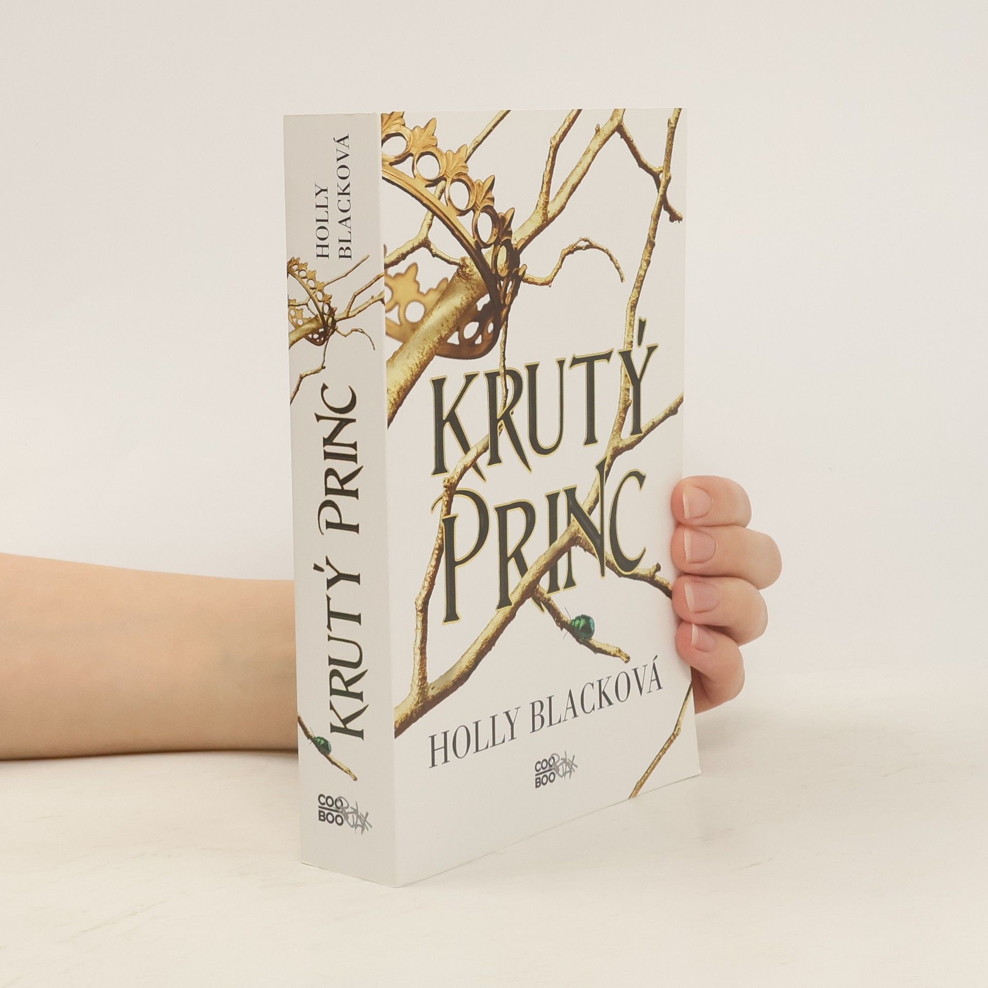 Holly Black Krutý princ