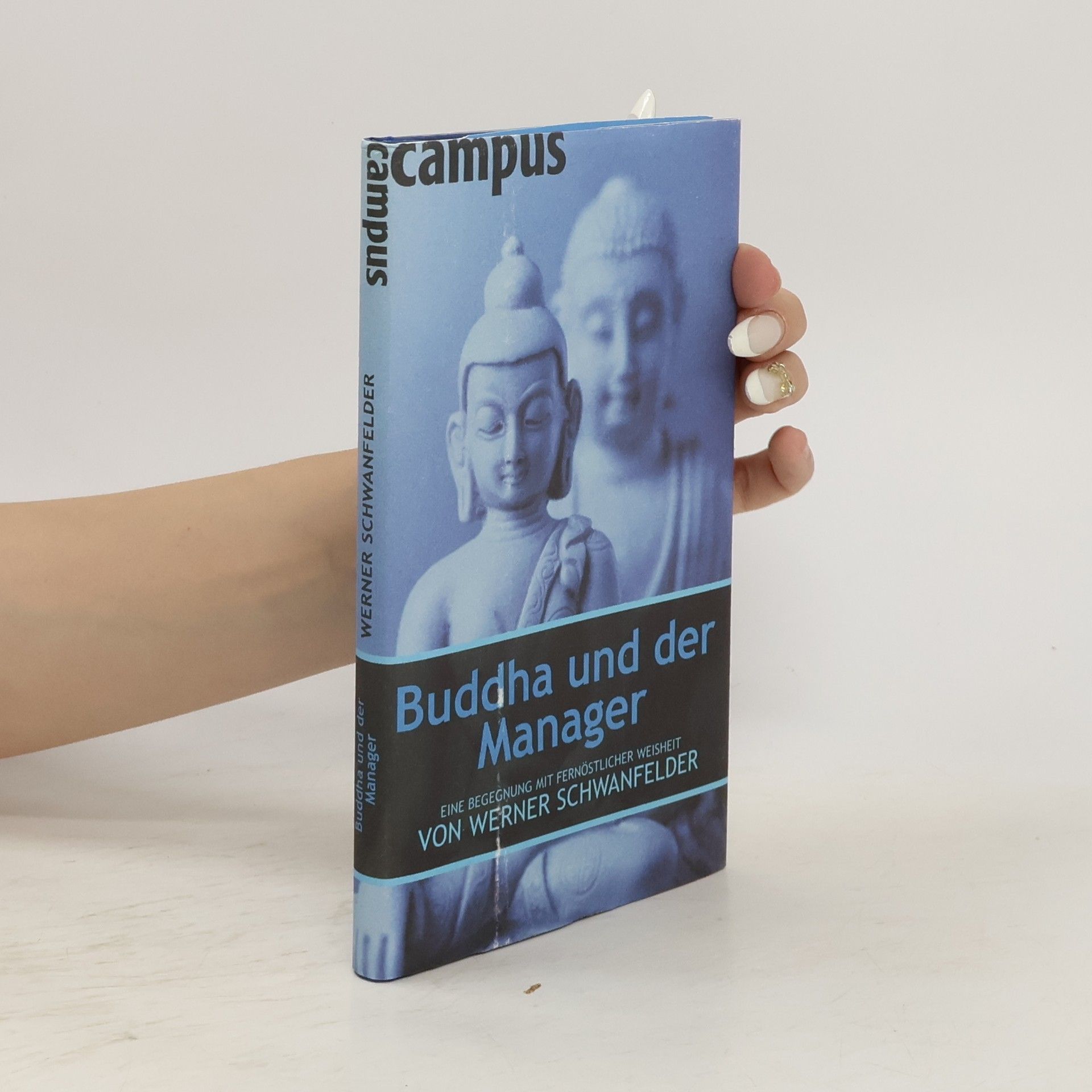 Werner Schwanfelder Buddha und der Manager
