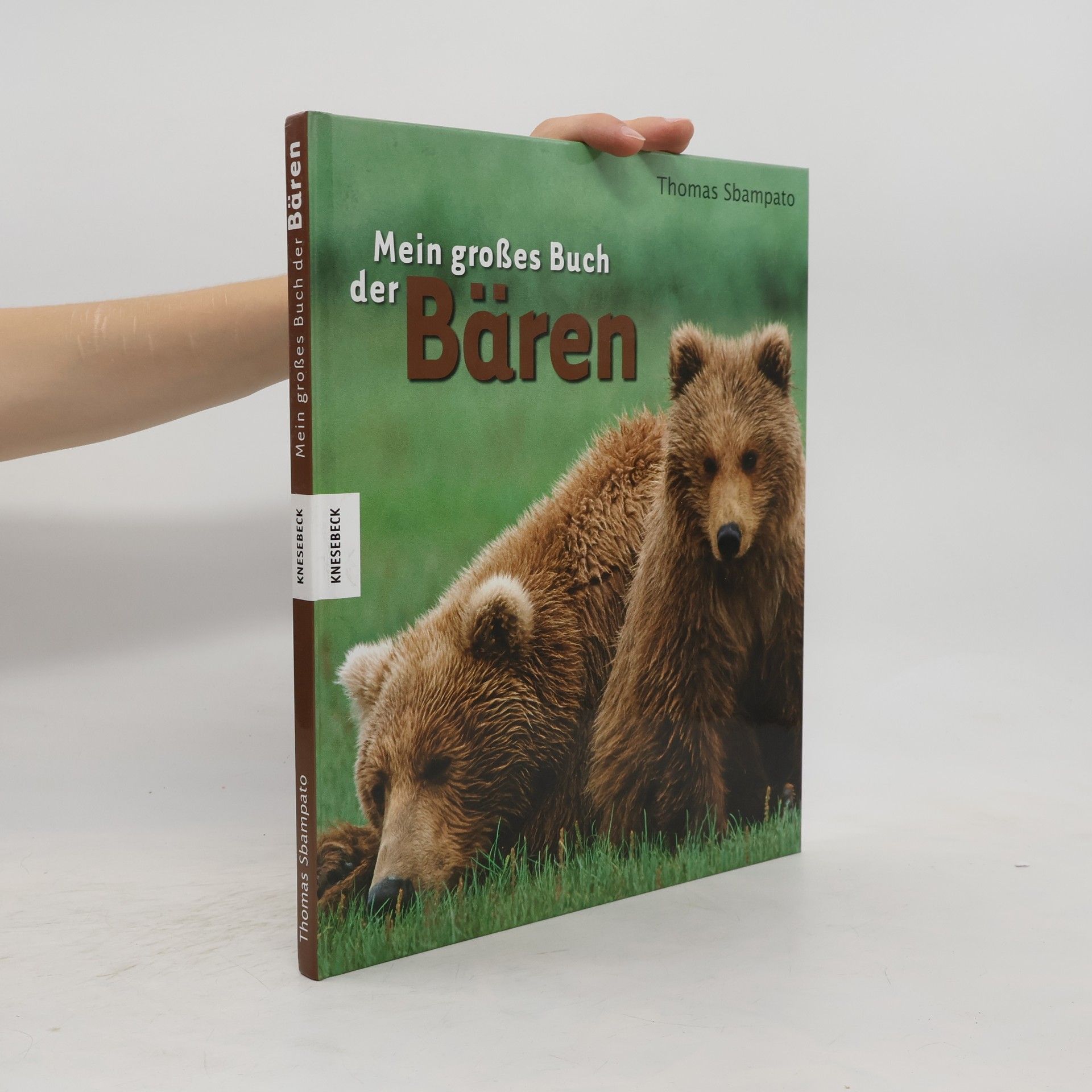 Thomas Sbampato Mein großes Buch der Bären