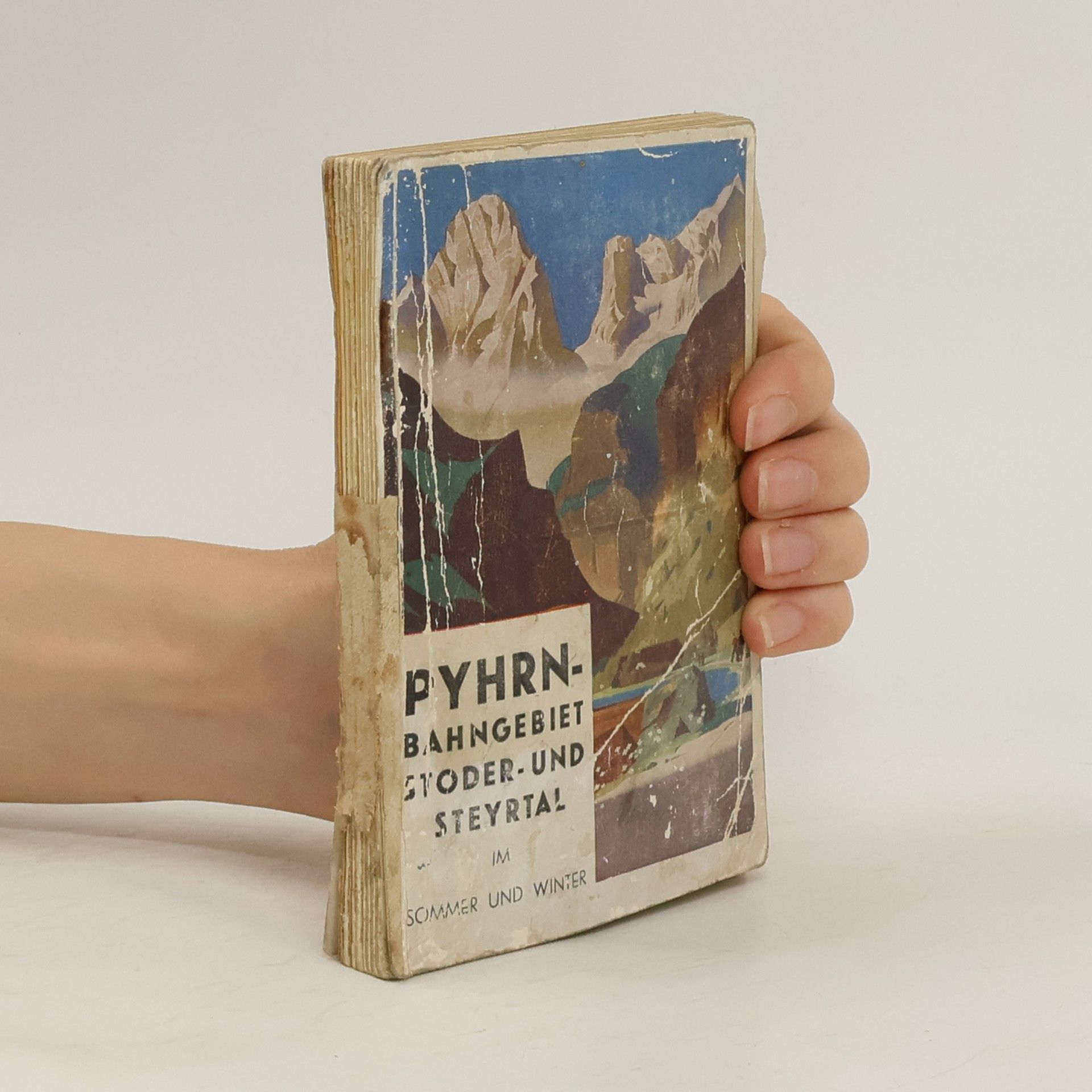 Theodor Brieger Pyhrnbahngebiet