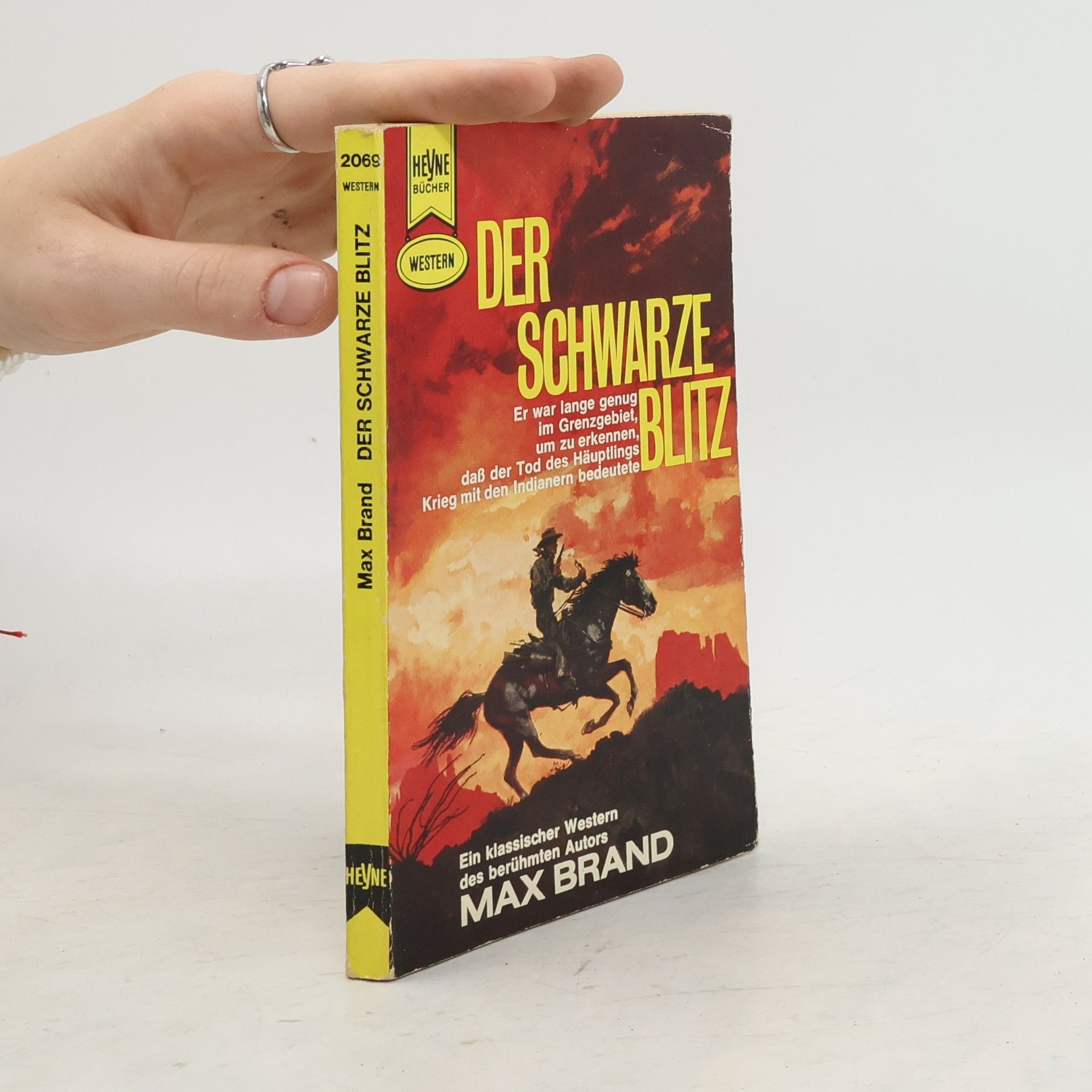 Max Brand Der Schwarze Blitz