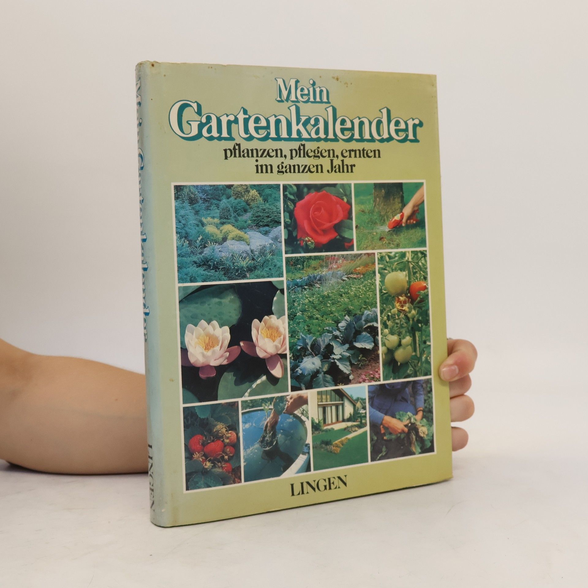 Collectif d'auteurs Mein Gartenkalender