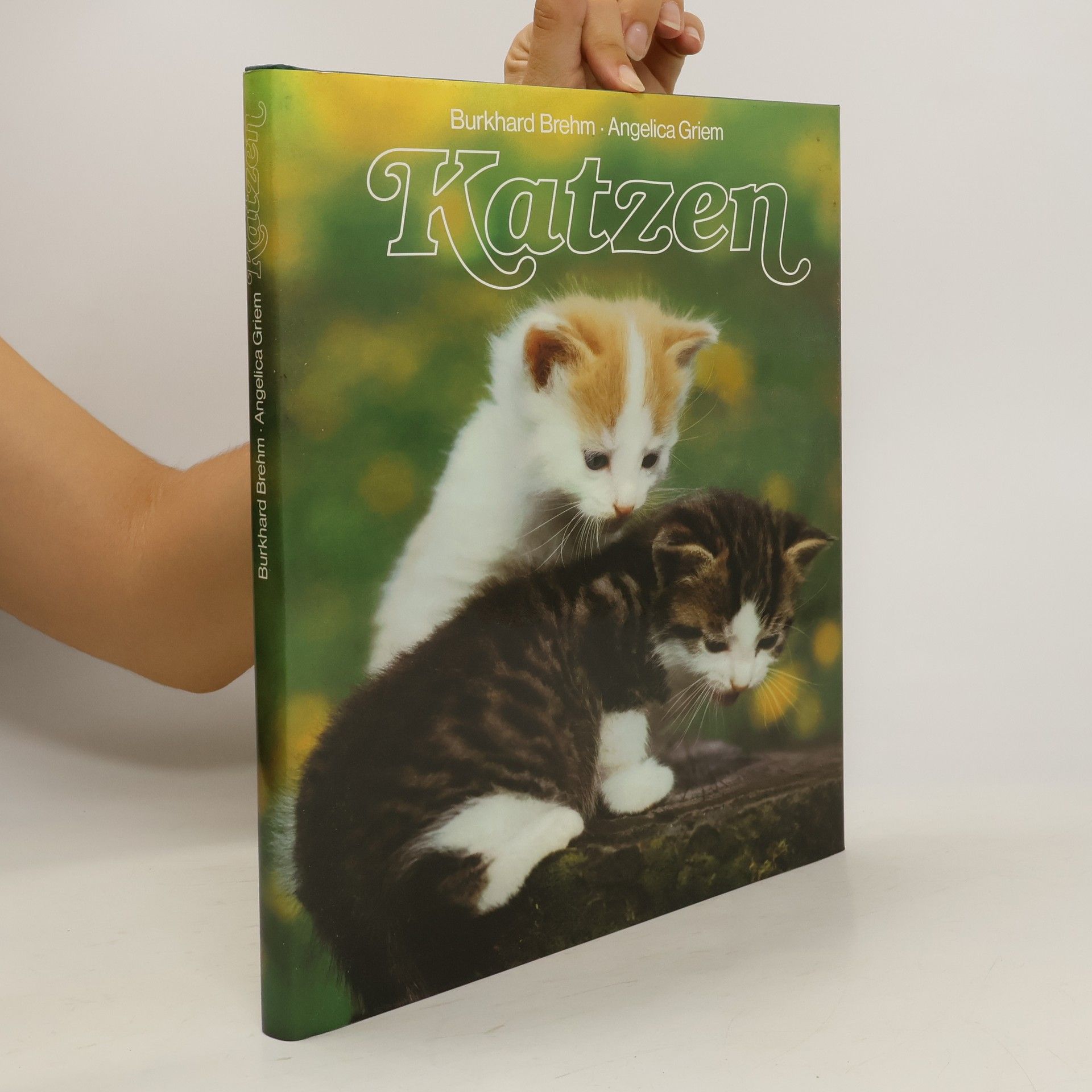 Burkhard Brehm Katzen