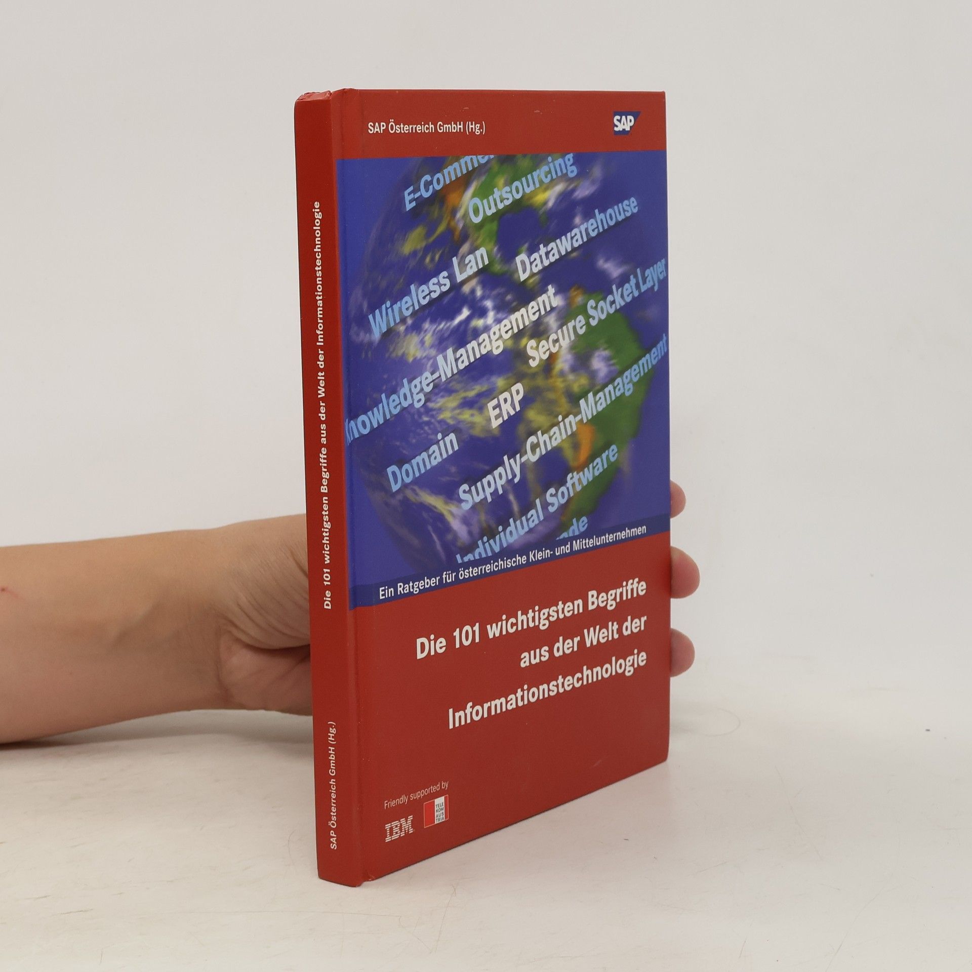 Autorenkollektiv Die 101 wichtigsten Begriffe aus der Welt der Informationstechnologie