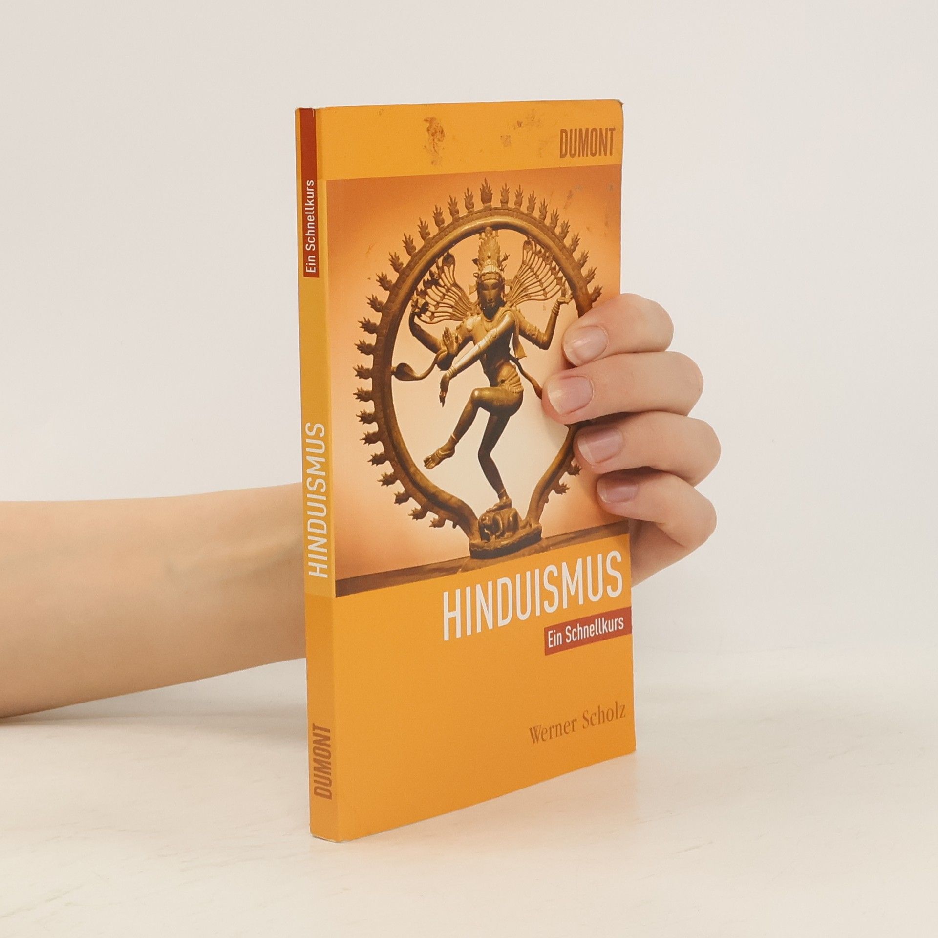 Werner Scholz Hinduismus